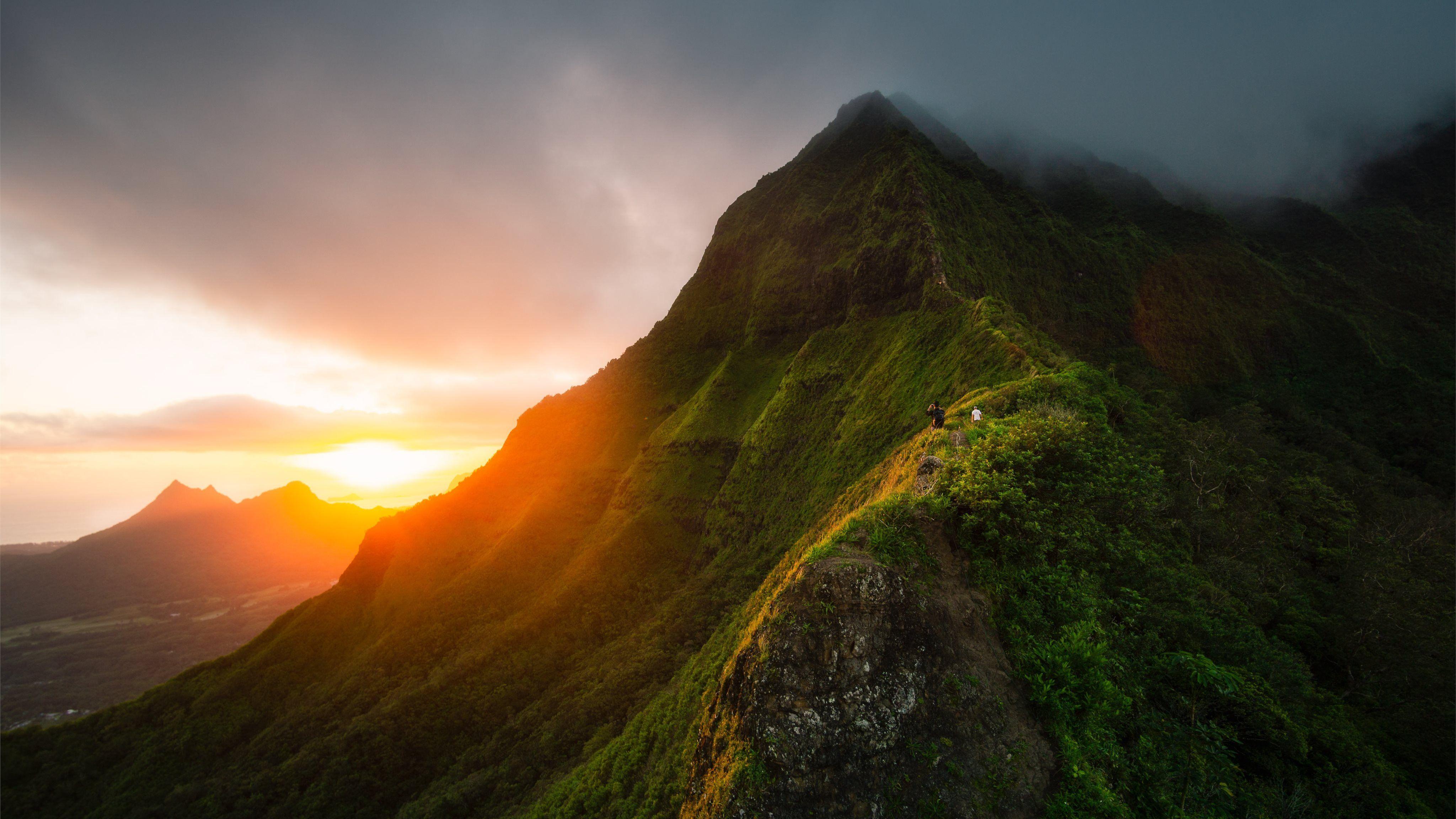 Green and Brown Wallpapers Top Free Green and Brown Backgrounds