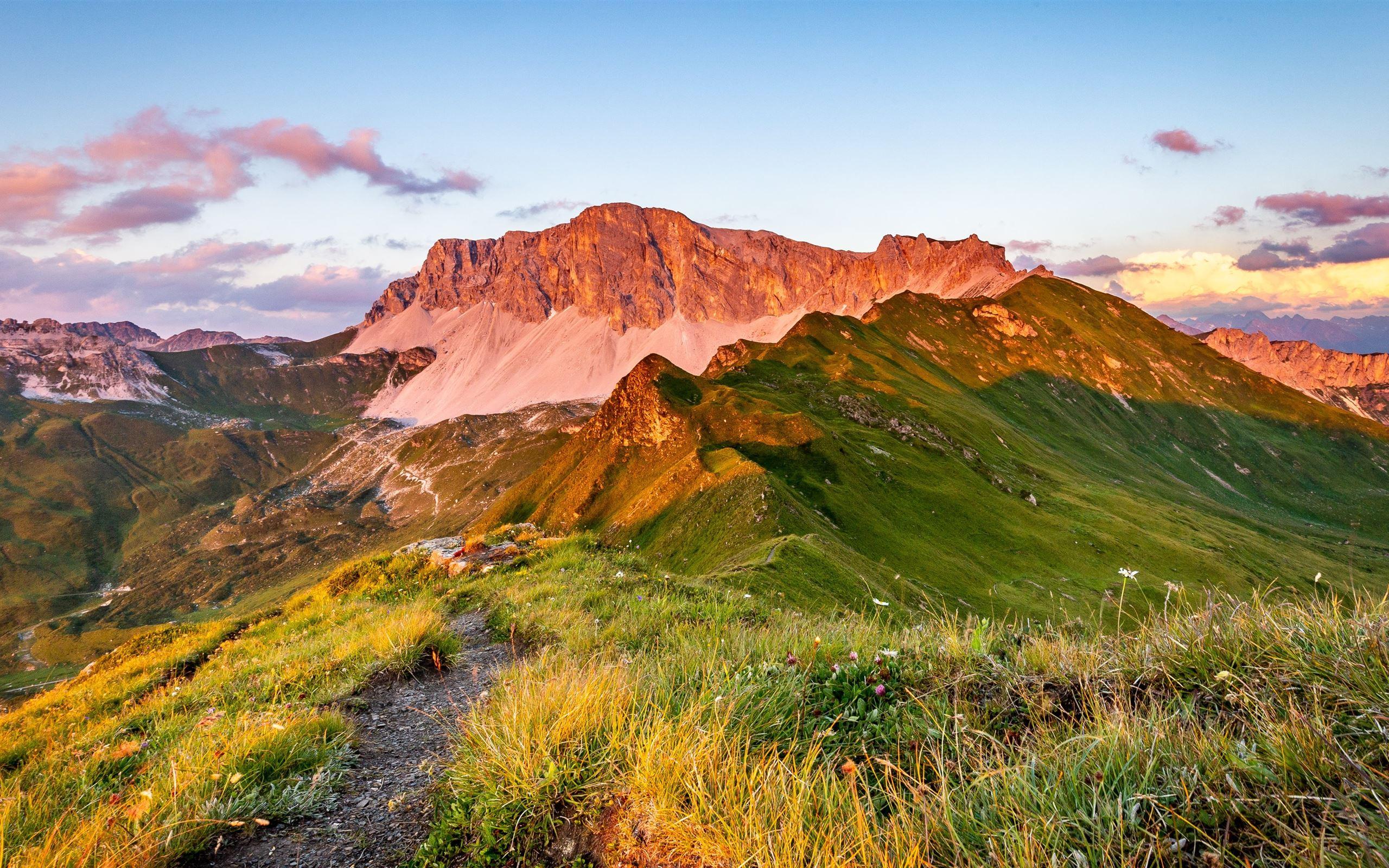 Green and Brown Wallpapers Top Free Green and Brown Backgrounds