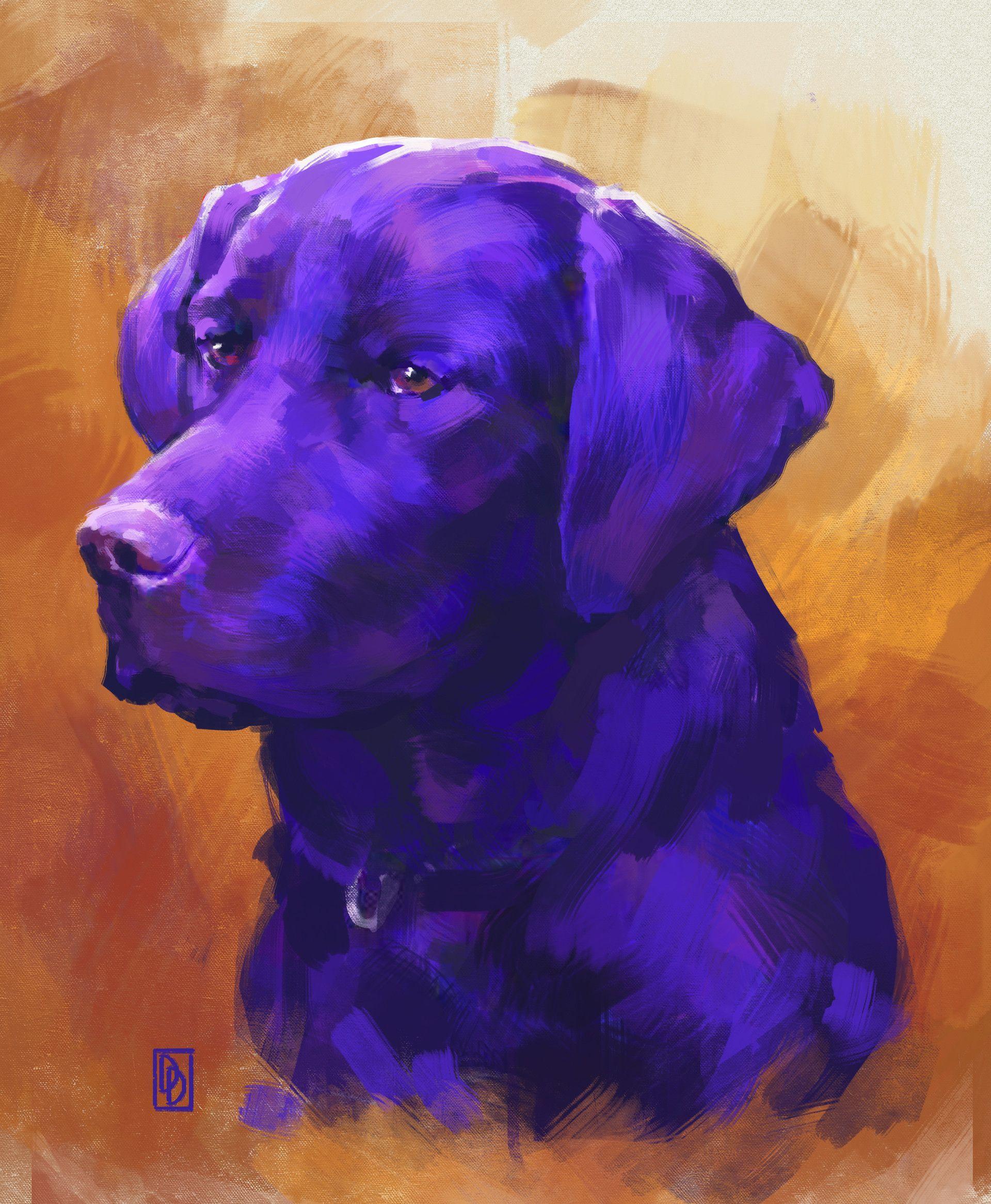 Purple Dog Wallpapers - Top Free Purple Dog Backgrounds - WallpaperAccess