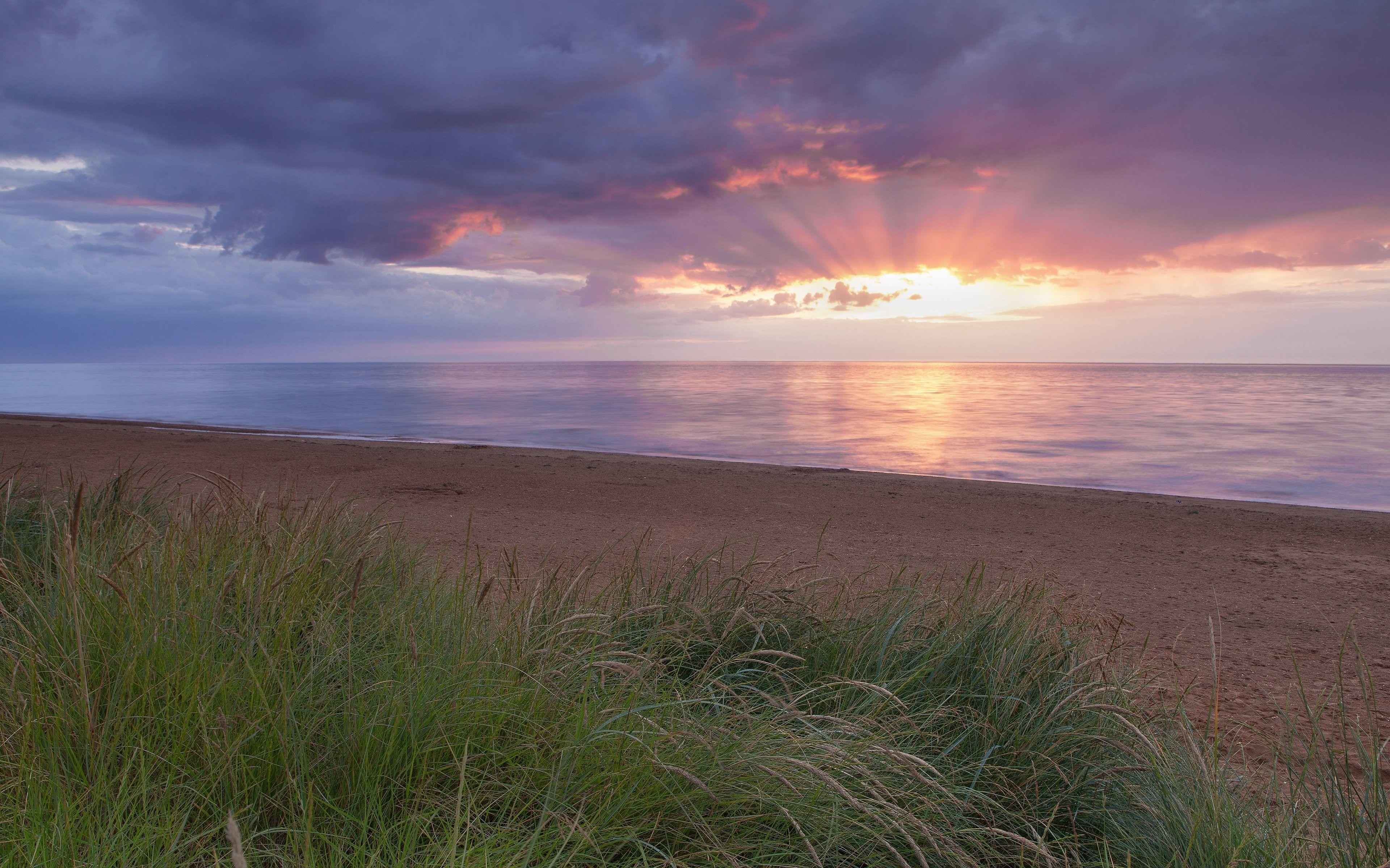 Sunset Beach Grass Wallpapers - Top Free Sunset Beach Grass Backgrounds