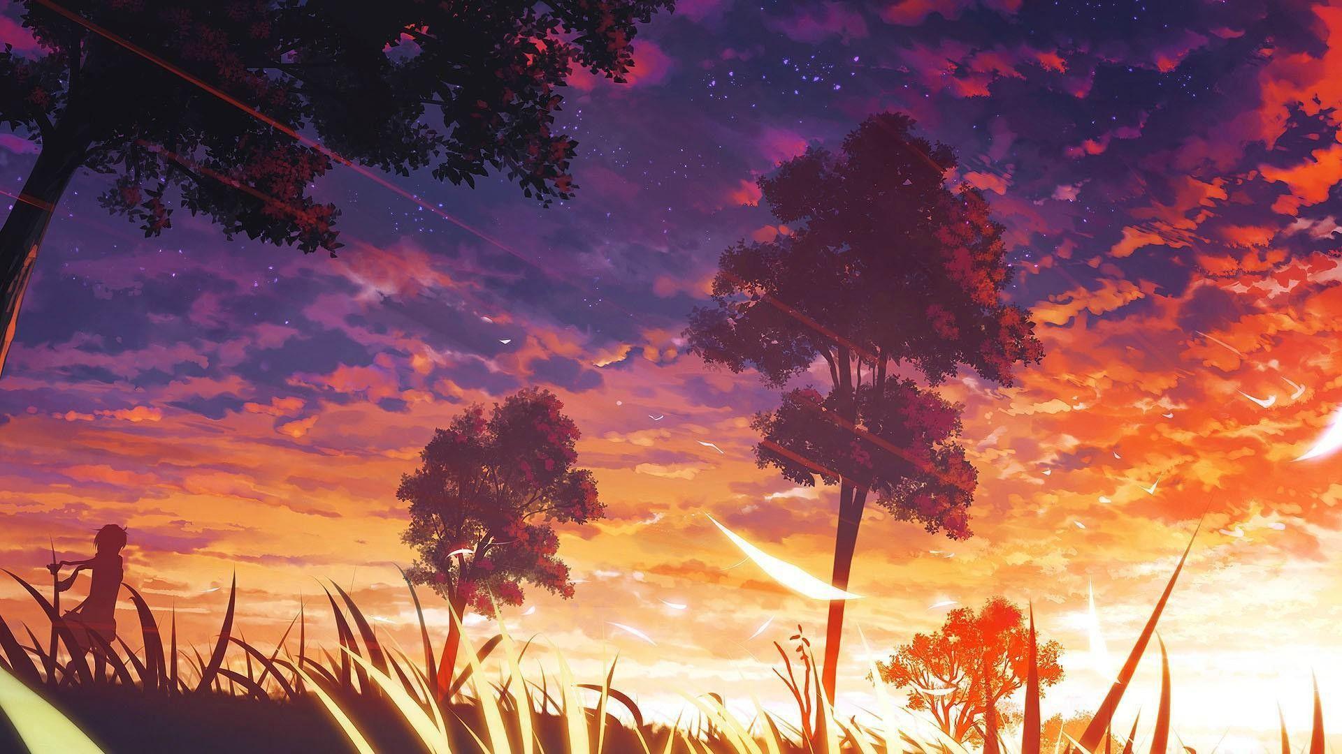 1920x1080 Landscape Trees Sunset Grass Stars Wallpaper:1920x1080
