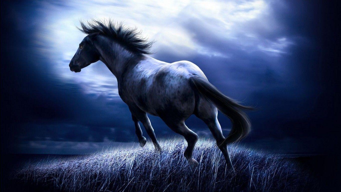 1366x768 Amazing Horse Wallpaper New Western Horse Wallpaper For Mac