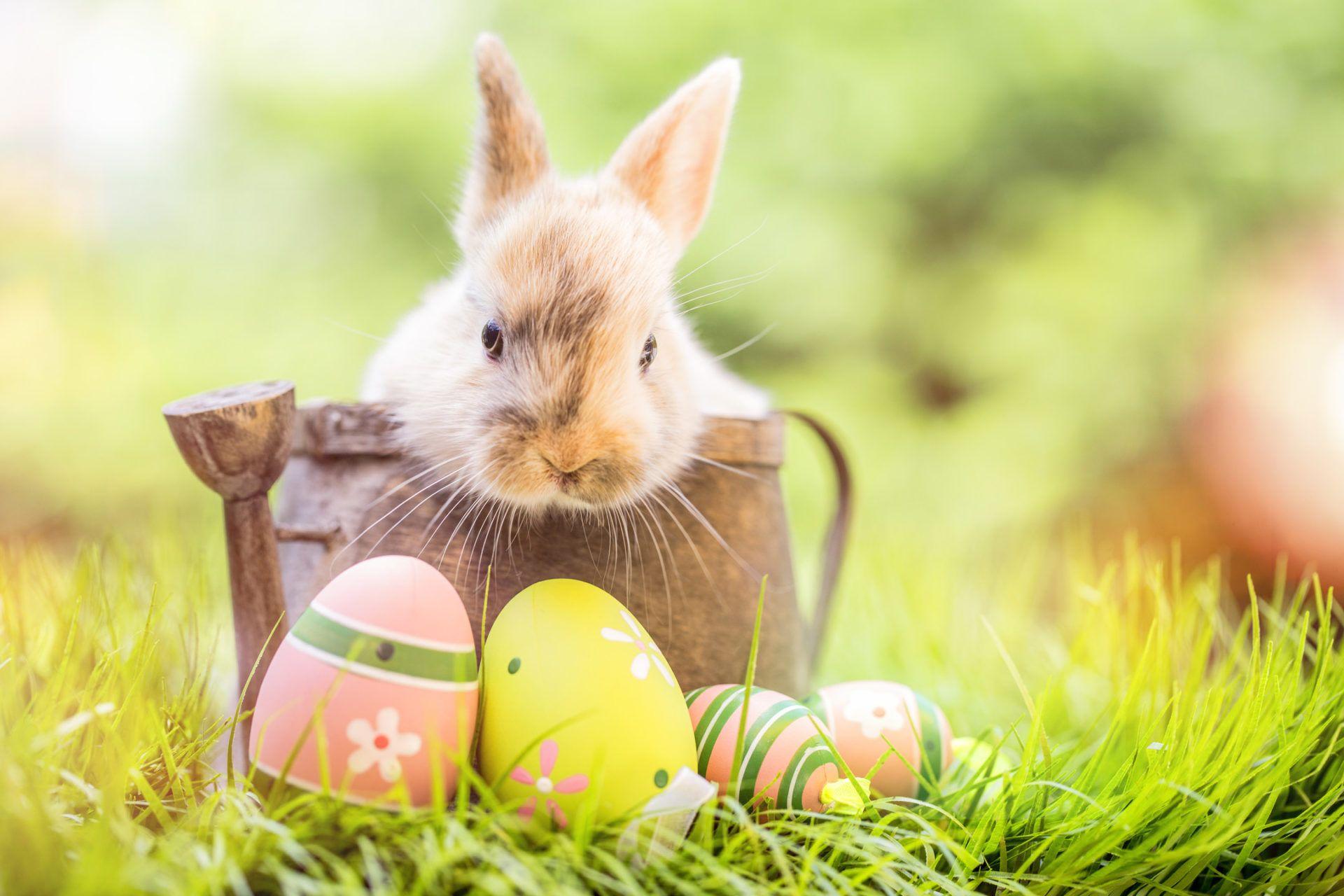 1920x1280 Wallpaper For Easter