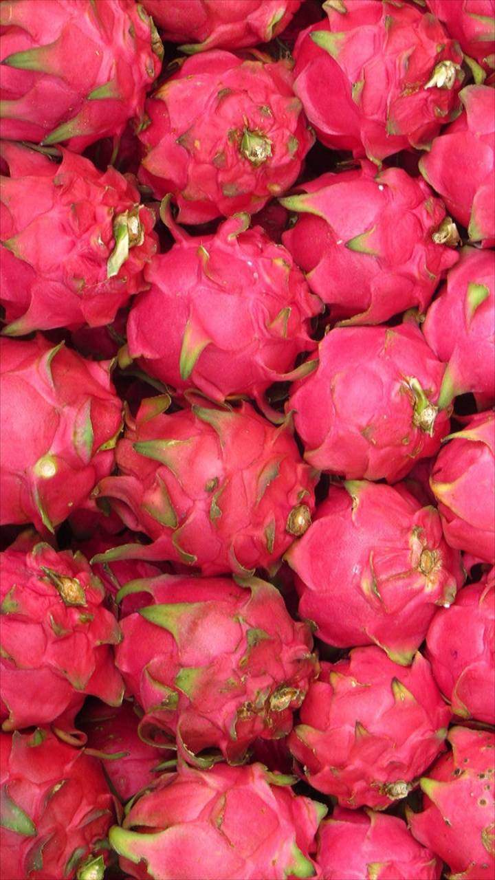 720x1280 Dragon fruit wallpaper