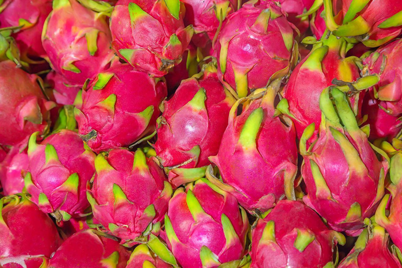 1280x853 image Pitaya Pink color Food Fruit Closeup