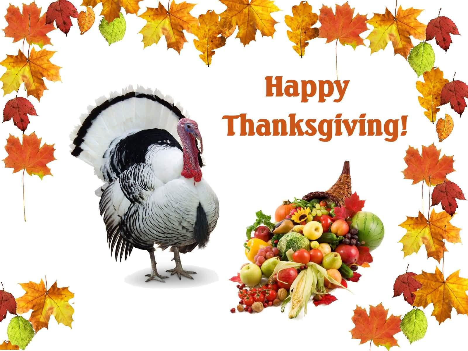 1600x1200 Best Picture And Photo Of Thanksgiving Day