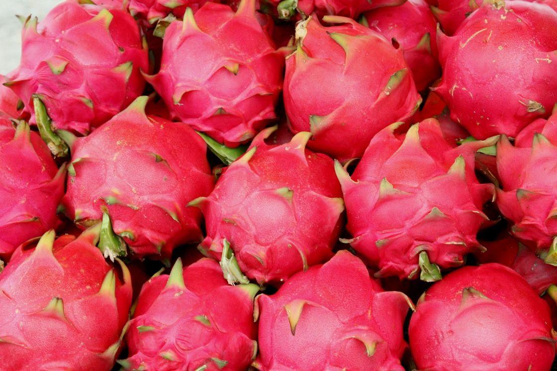 1121x748 All About Dragon World Tattoo Design: More of Beautiful Dragon Fruits Wallpaper