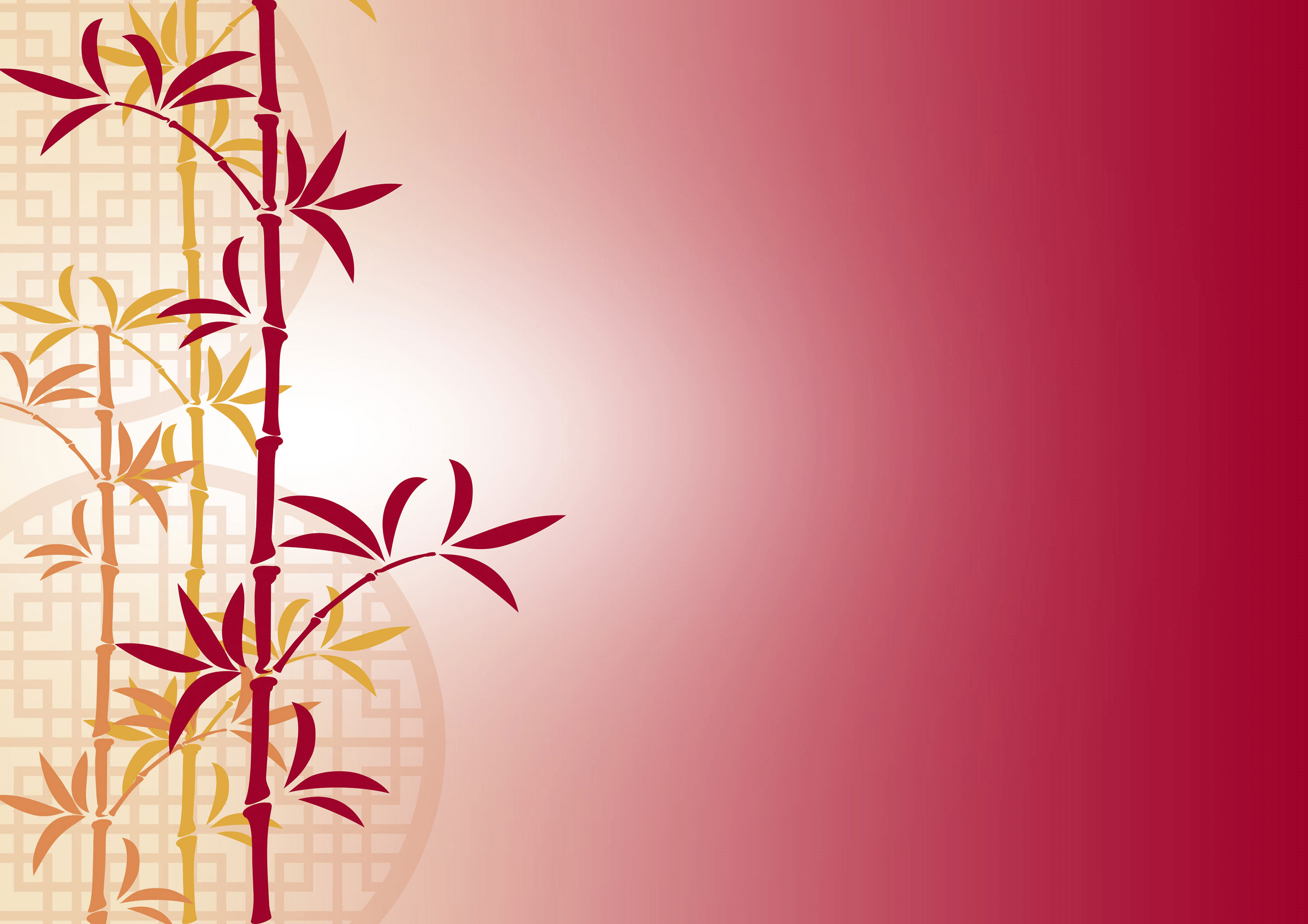 3000x2121 Chinese New Year Background