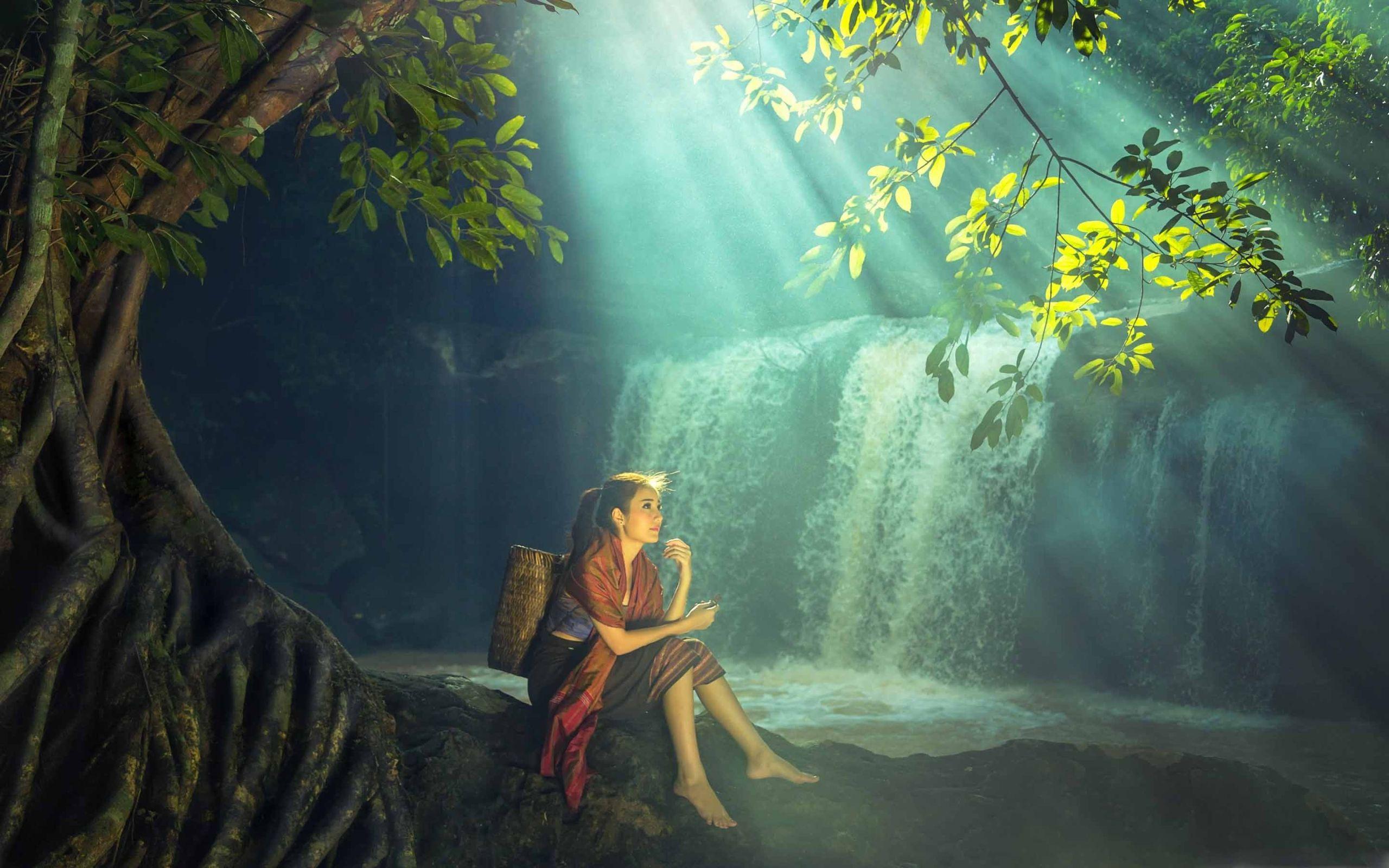 2560x1600 Best Rainforest Mac Wallpaper Free HD Download