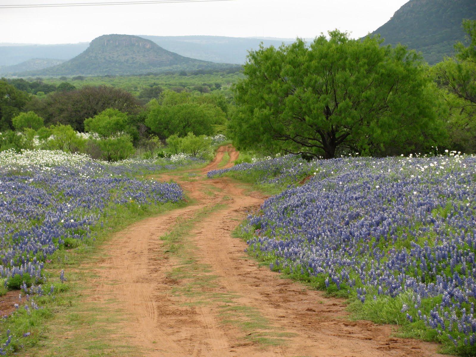 Texas Country Wallpapers - Top Free Texas Country Backgrounds ...