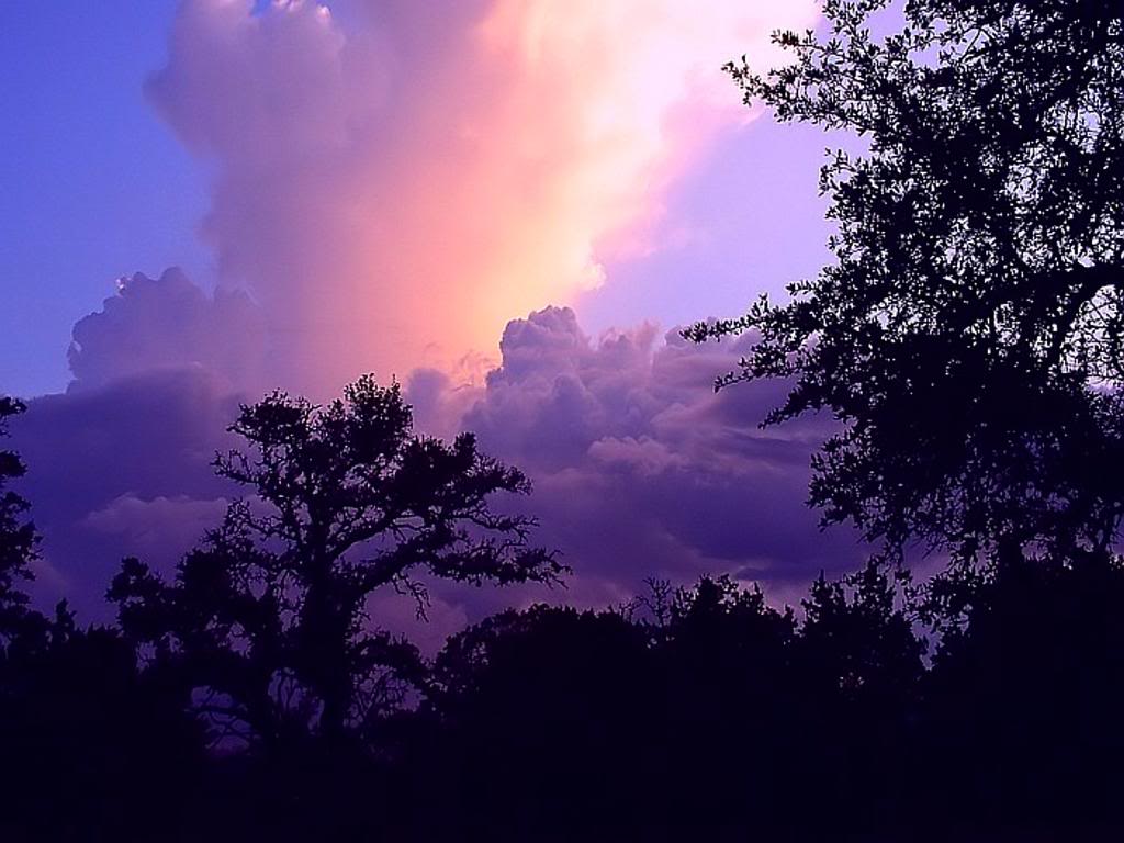 1024x768 Texas Hill Country Wallpaper