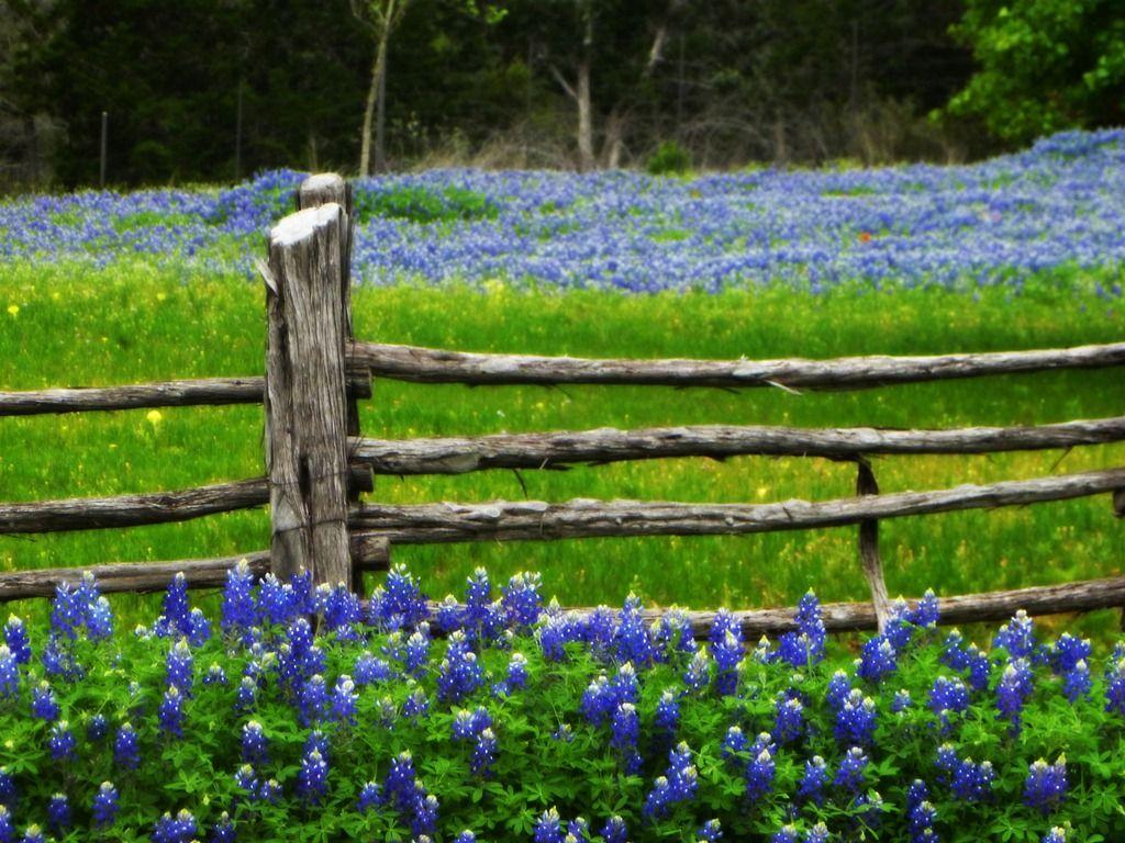 1024x768 Hill Country Wallpaper. Country Victorian Wallpaper, Country Pink Wallpaper and Country Wallpaper