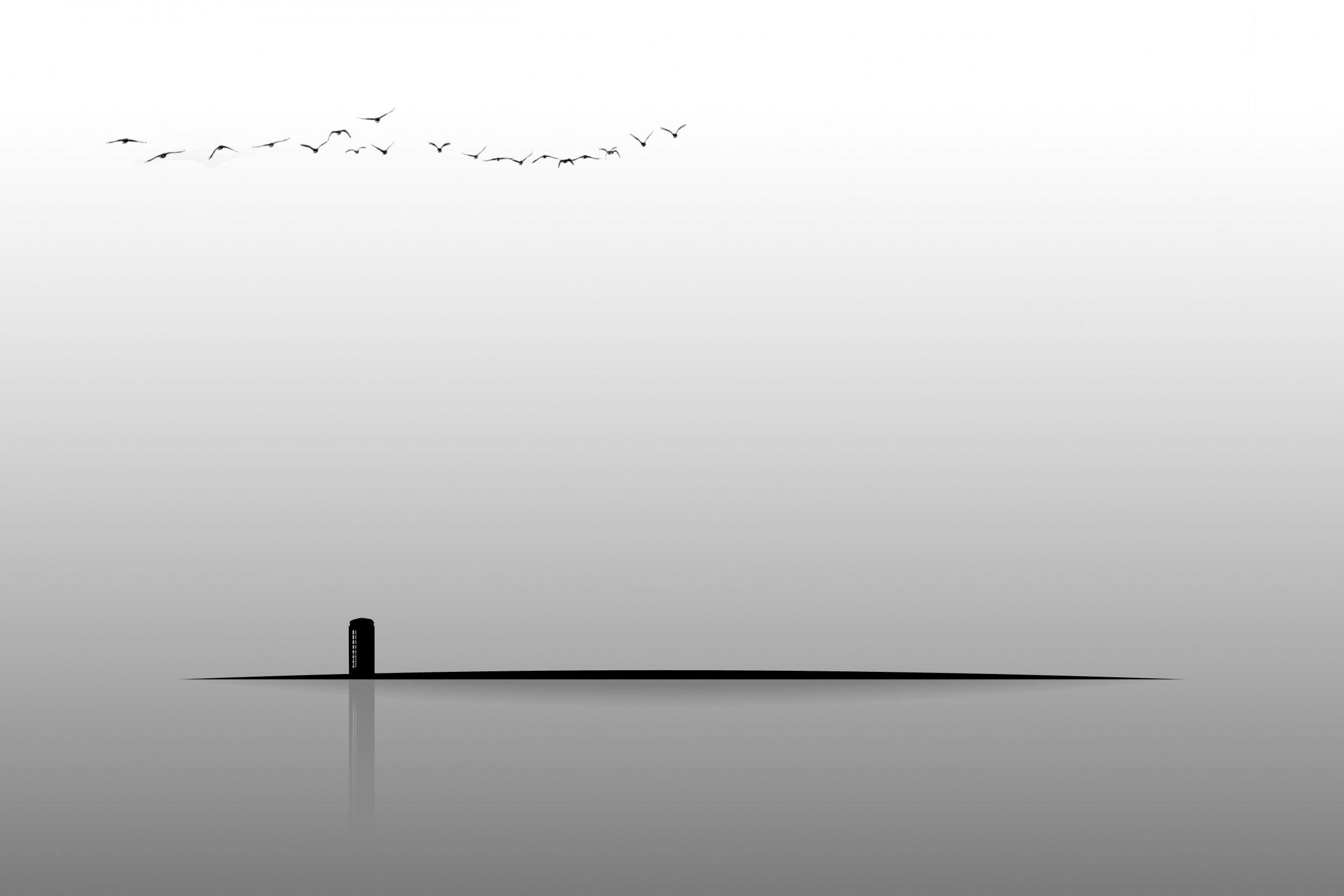 2500x1667 telephone booth, minimalist wallpaper, birds, shadow, vector wallpaper