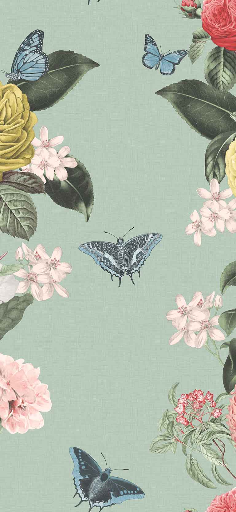 768x1662 Wallpaper Of The Year of The Year & Brown