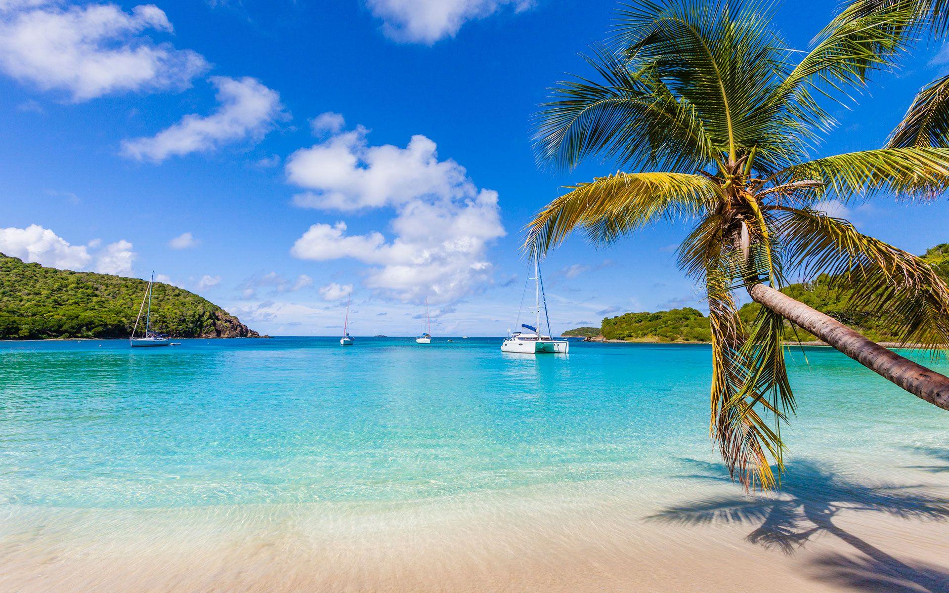 1920x1200 The Catamaran Company Catamaran Charters
