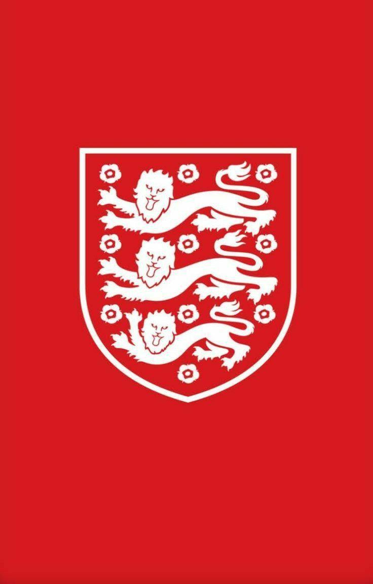 736x1152 England football team wallpaper. England football team, Team wallpaper, England national football team