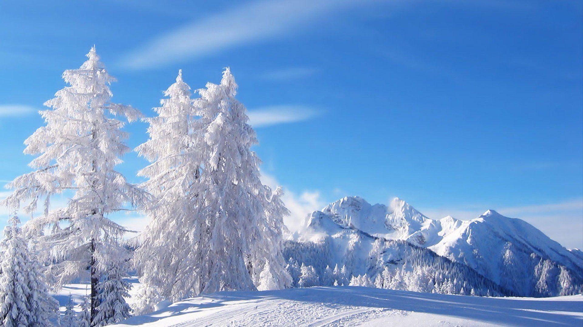 1920x1080 A Beautiful Season of Winter HD wallpaper