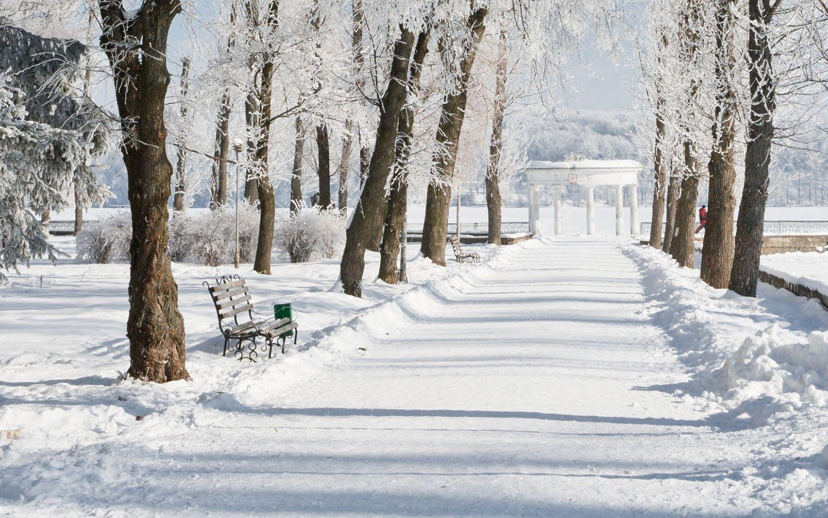 1680x1050 Free download Amazing HD Wallpaper of Winter Season HD Wallpaper [1920x1080] for your Desktop, Mobile & Tablet. Explore Free Desktop Background For Winter. Free Winter Scene Wallpaper, Free Desktop