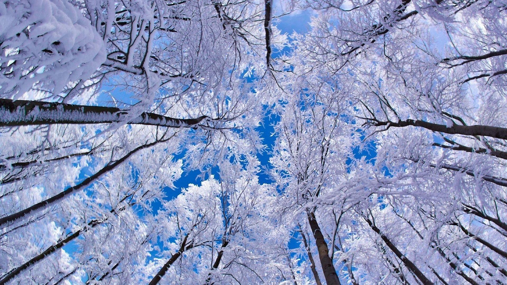 1920x1080 Winter Season. Smart Wallpaper for Android