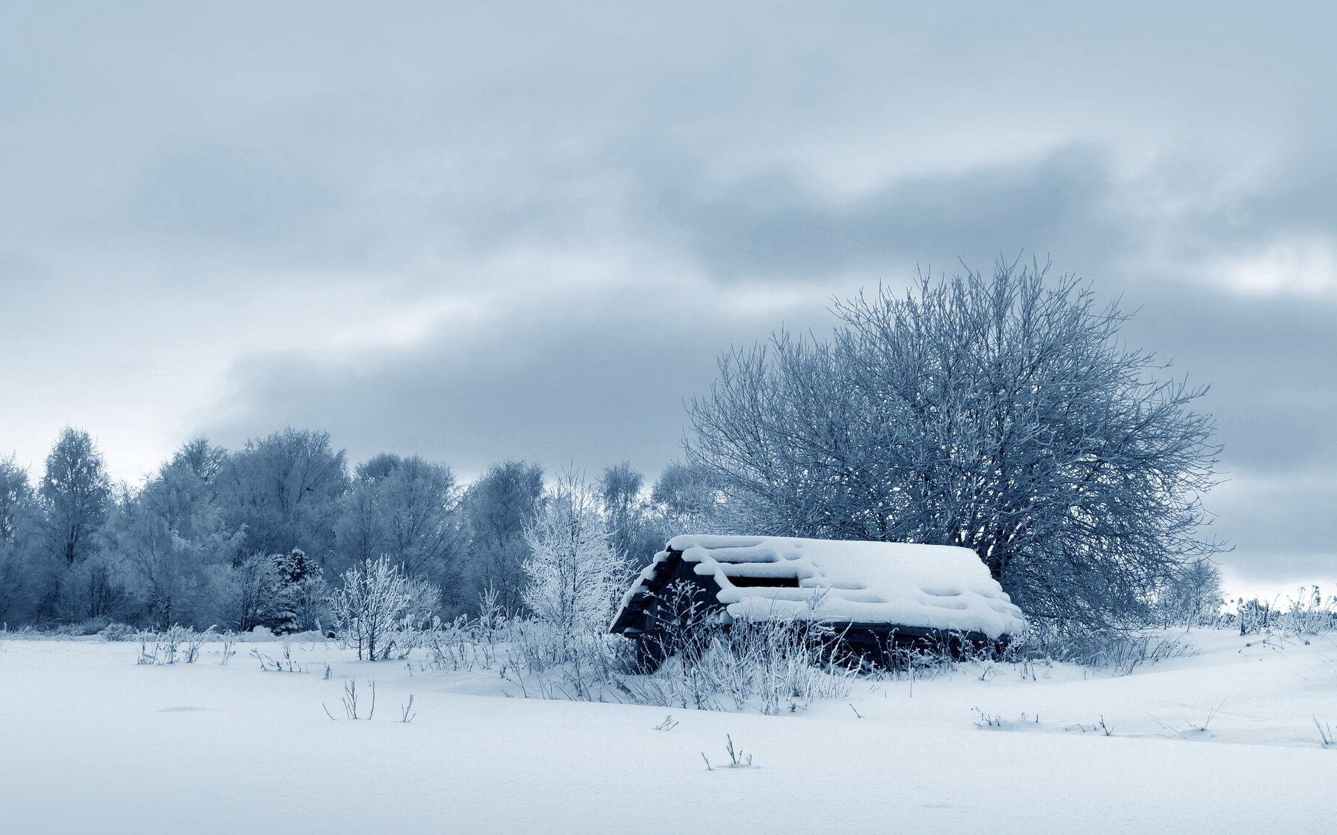 1920x1200 Beautiful winter season HD Wallpaper HD Wallpaper