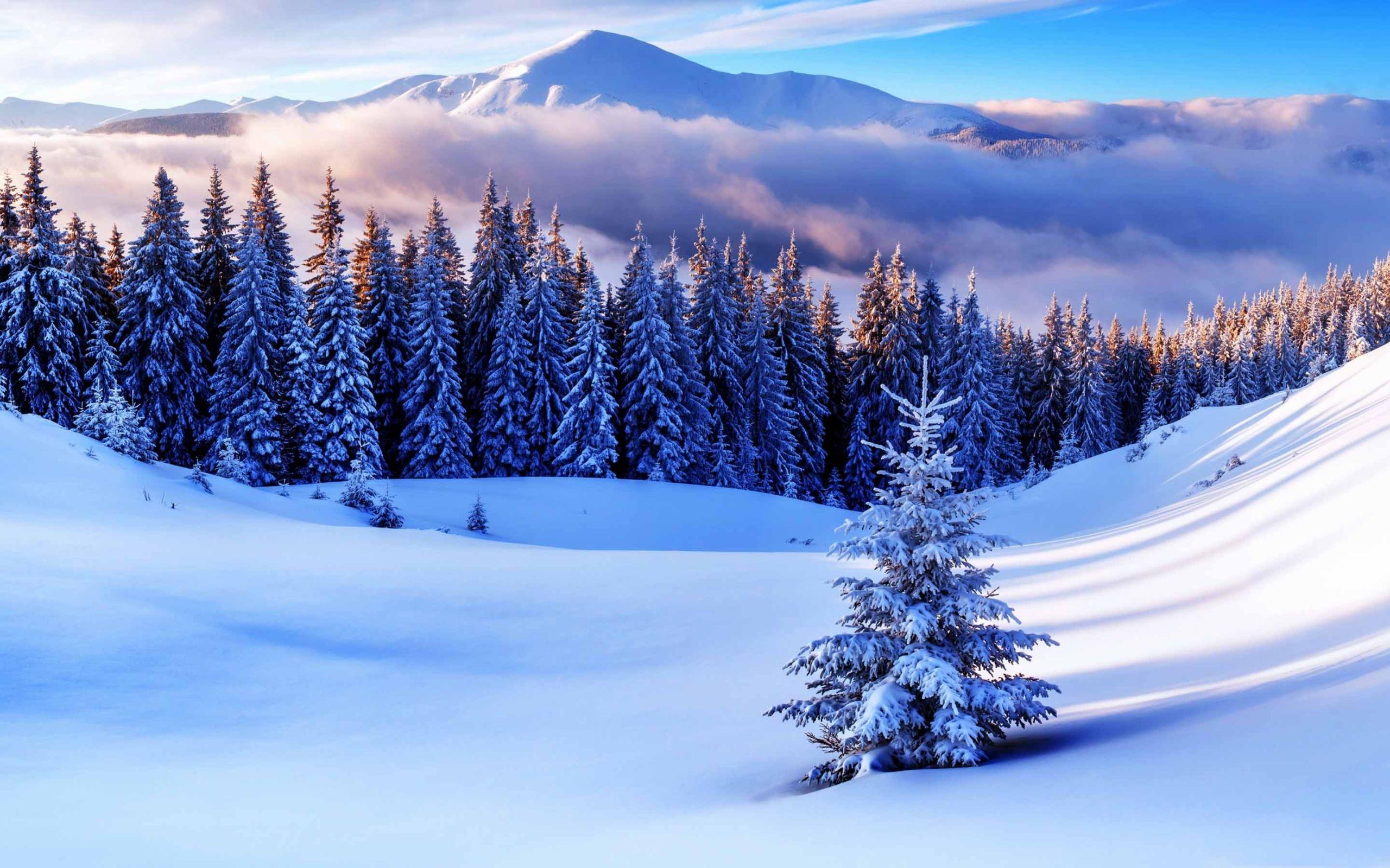 Winter Season Wallpapers - Top Free Winter Season Backgrounds ...