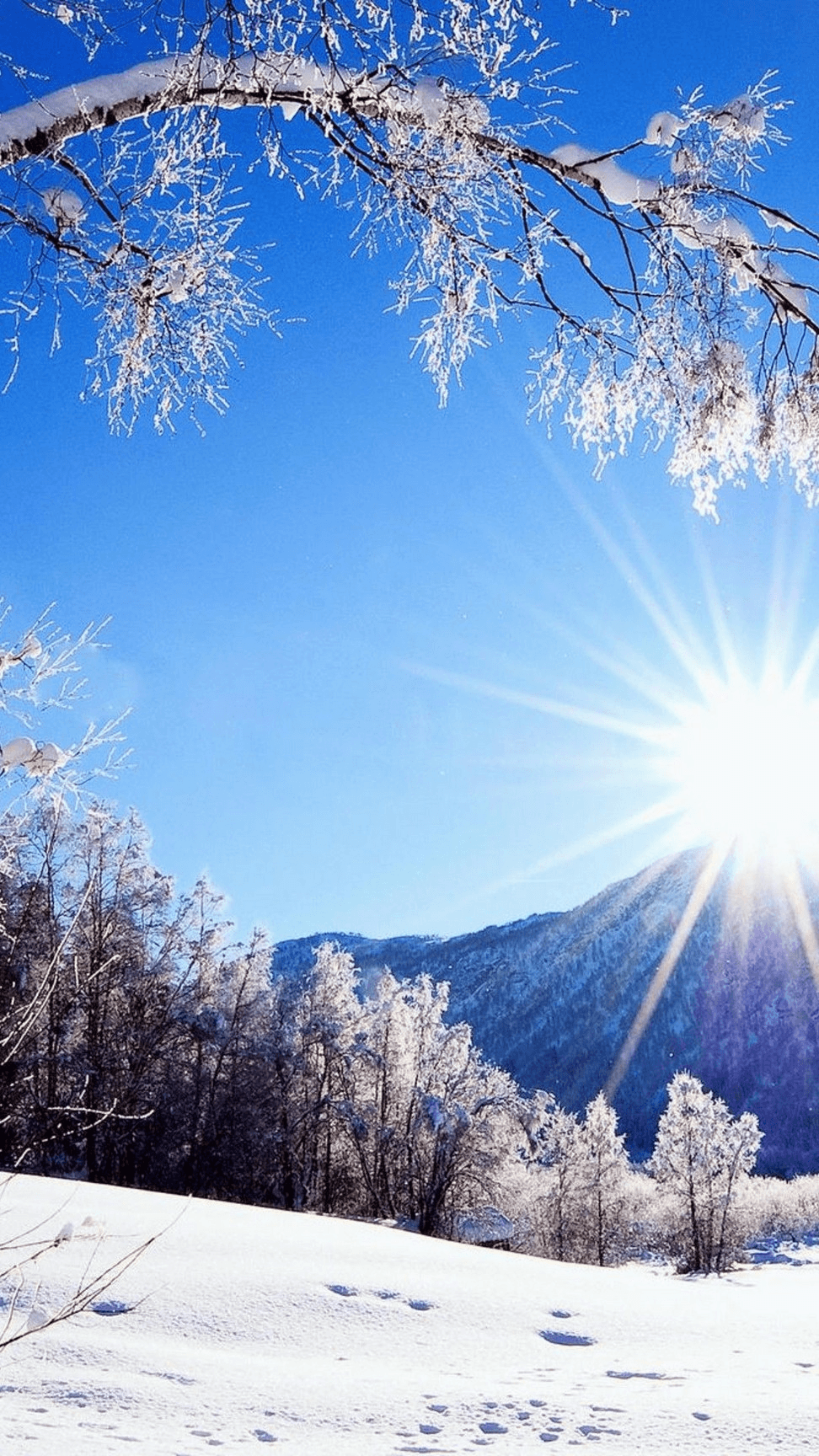 972x1728 Free Download Winter Season Wallpaper HD Download Background HD Wallpaper