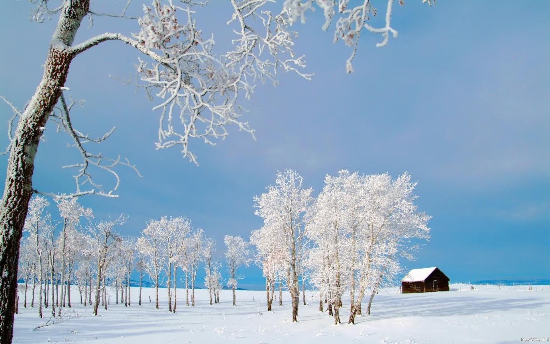 1920x1200 Computer Wallpaper Winter
