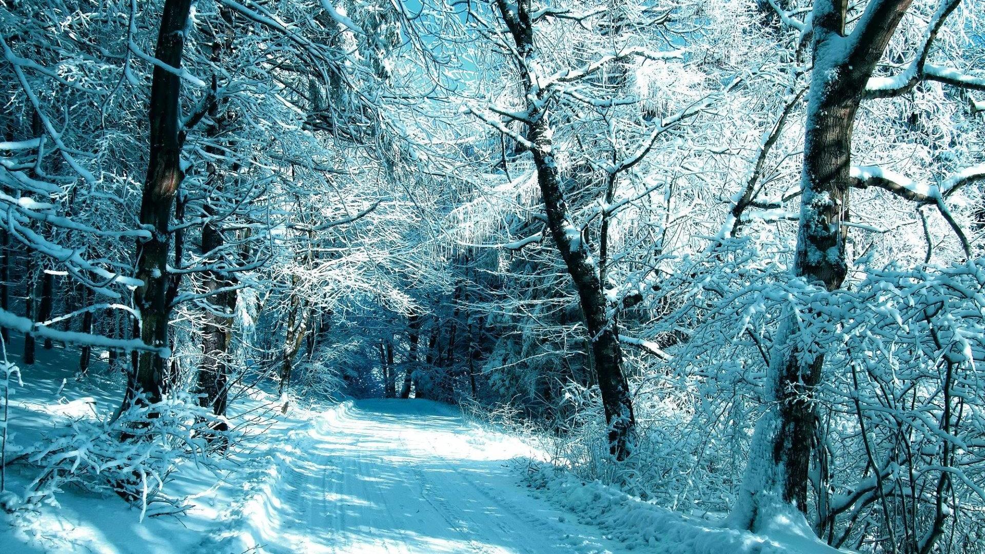1920x1080 Winter season. Wallpaper for Android