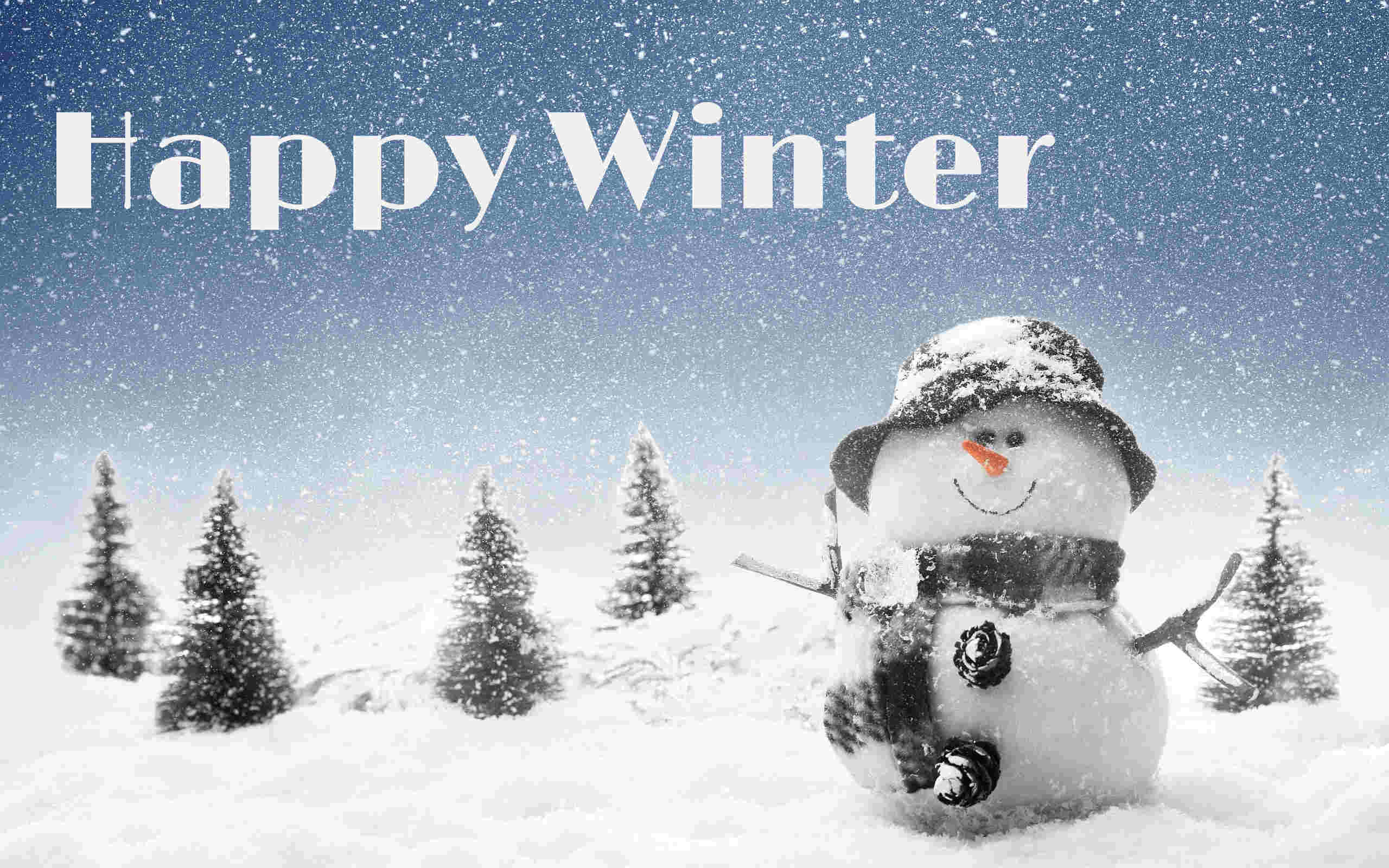 2560x1600 Winter Wallpaper HD