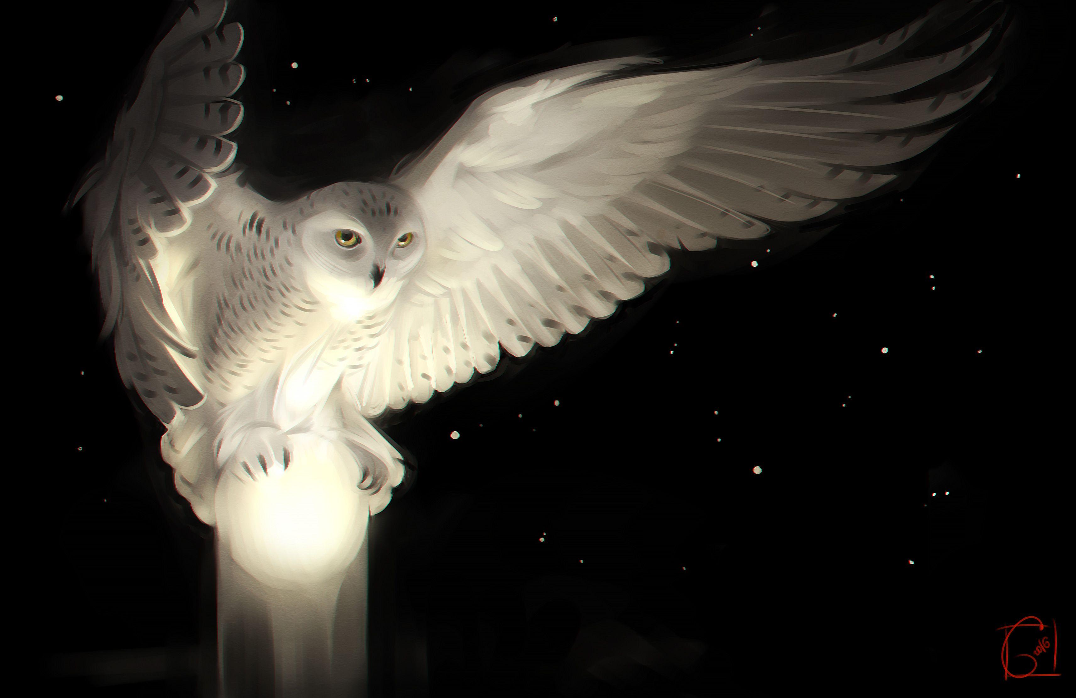 3425x2222 Snowy Owl, HD Artist, 4k Wallpaper, Image, Background, Photo and Picture