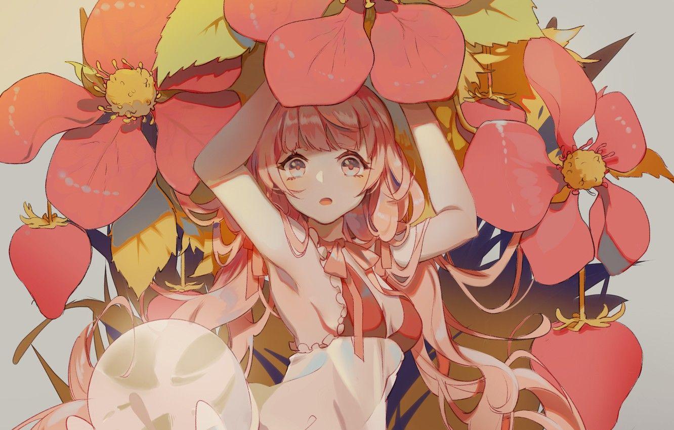 1332x850 Wallpaper surprise, strawberry, girl, grey background, pink hair, red flowers, hands up, in colors image for desktop, section сэйнэн
