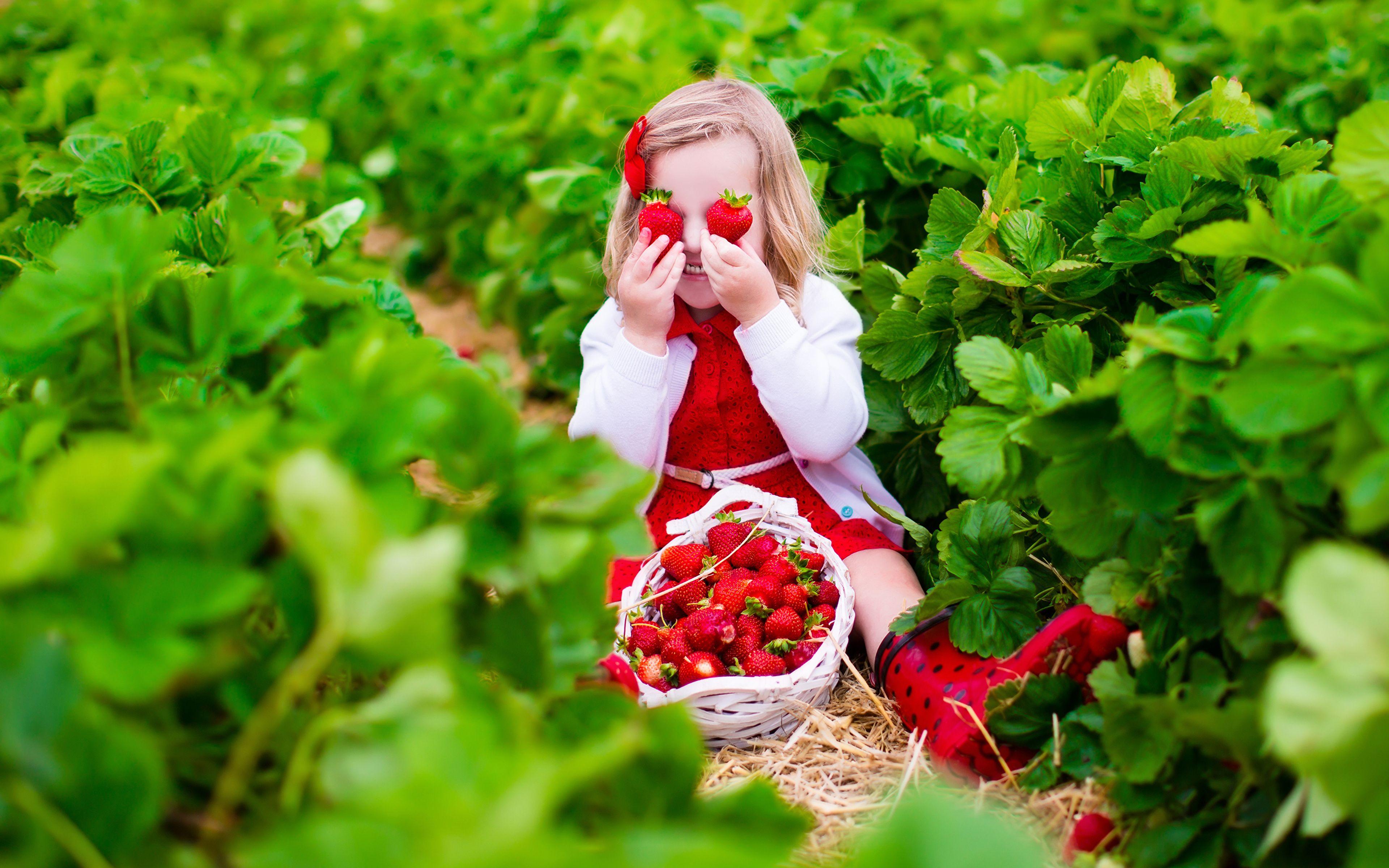 Strawberry Girl Wallpapers Top Free Strawberry Girl Backgrounds