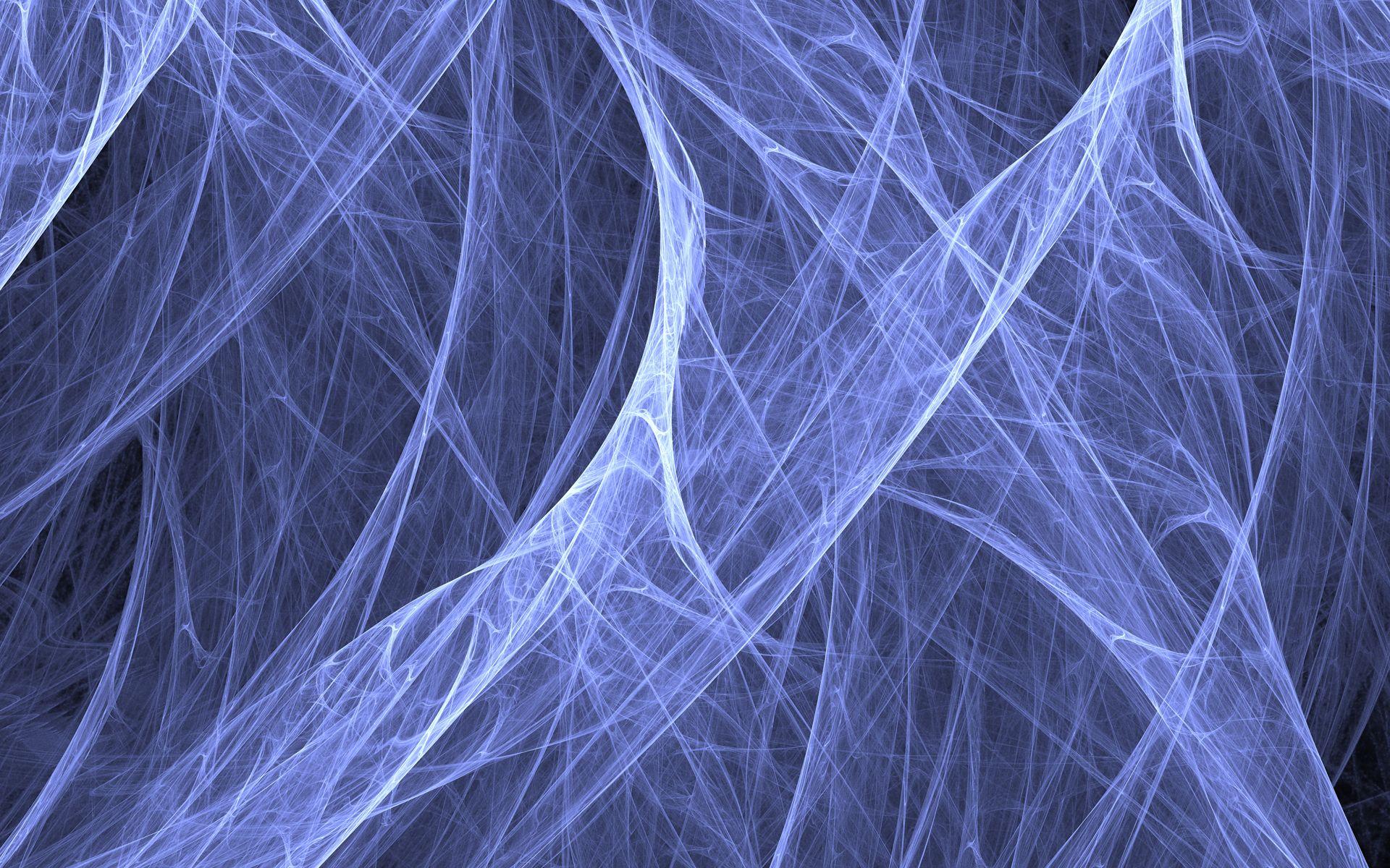 1920x1200 Cool Spider Web wallpaperx1200