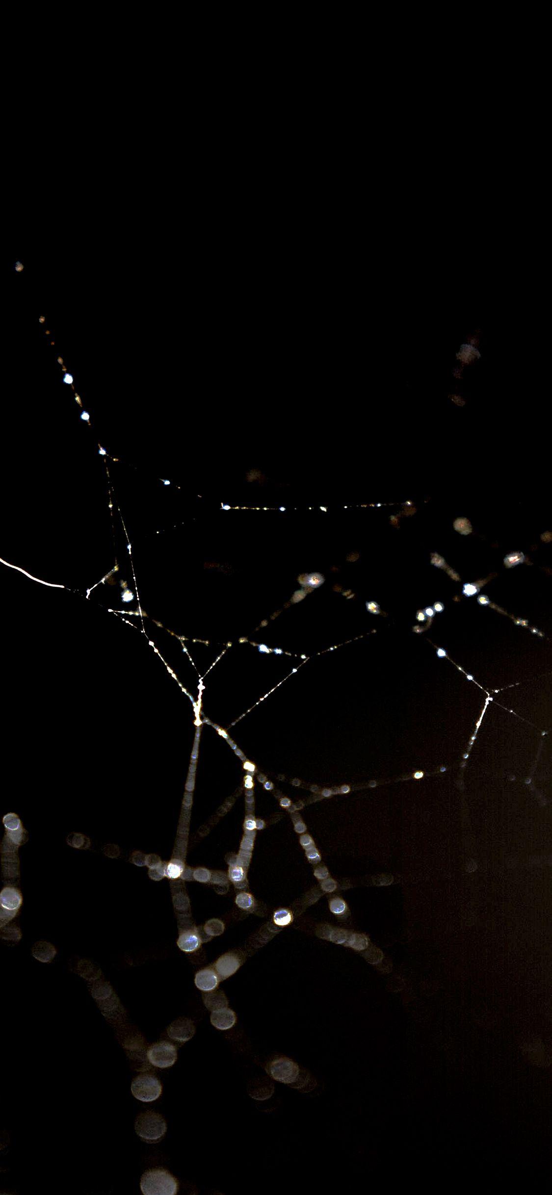 1125x2436 Spider Web Nature Rain Water Pattern Bw Dark