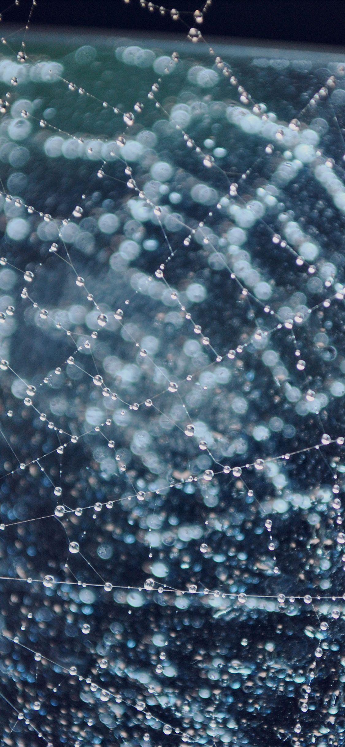 1125x2436 Raindrops Night Nature Spider Web Blue