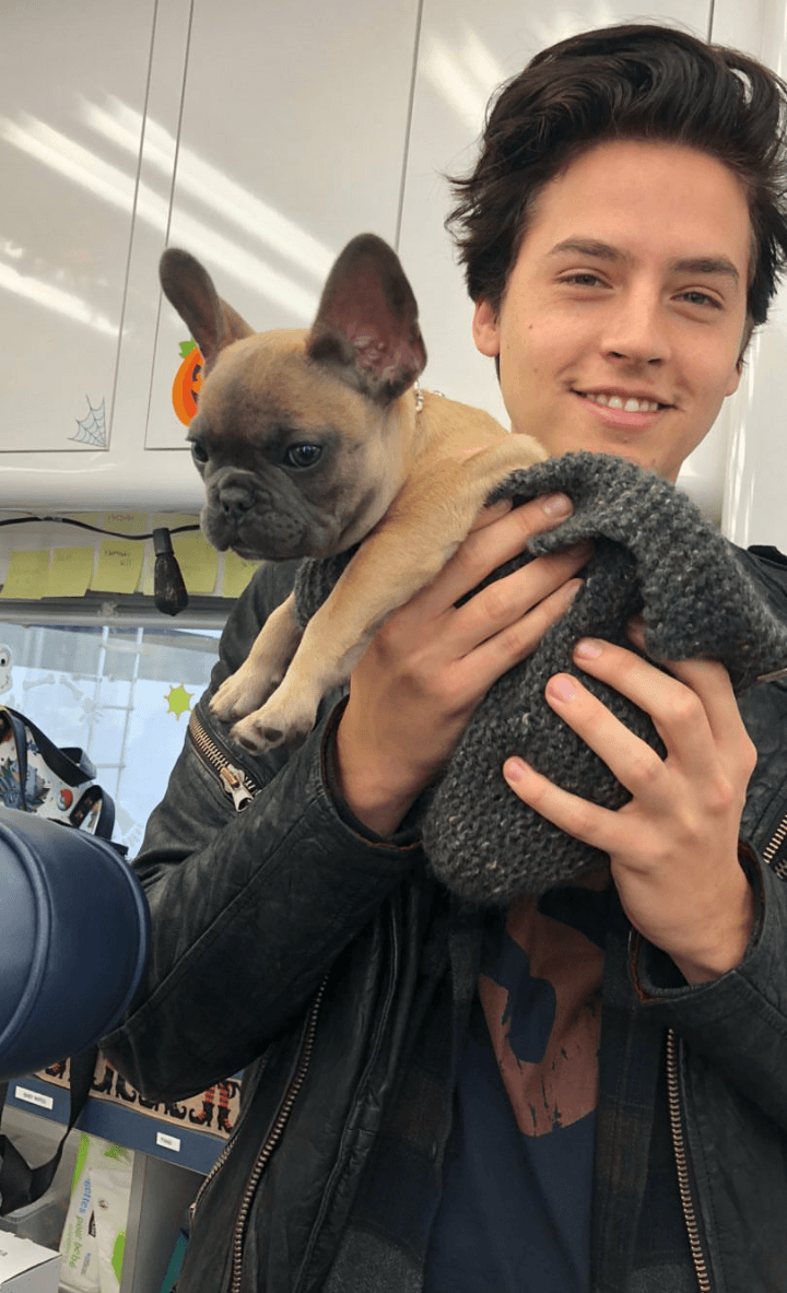 720x1183 tv show, betty cooper, bughead and wallpaper