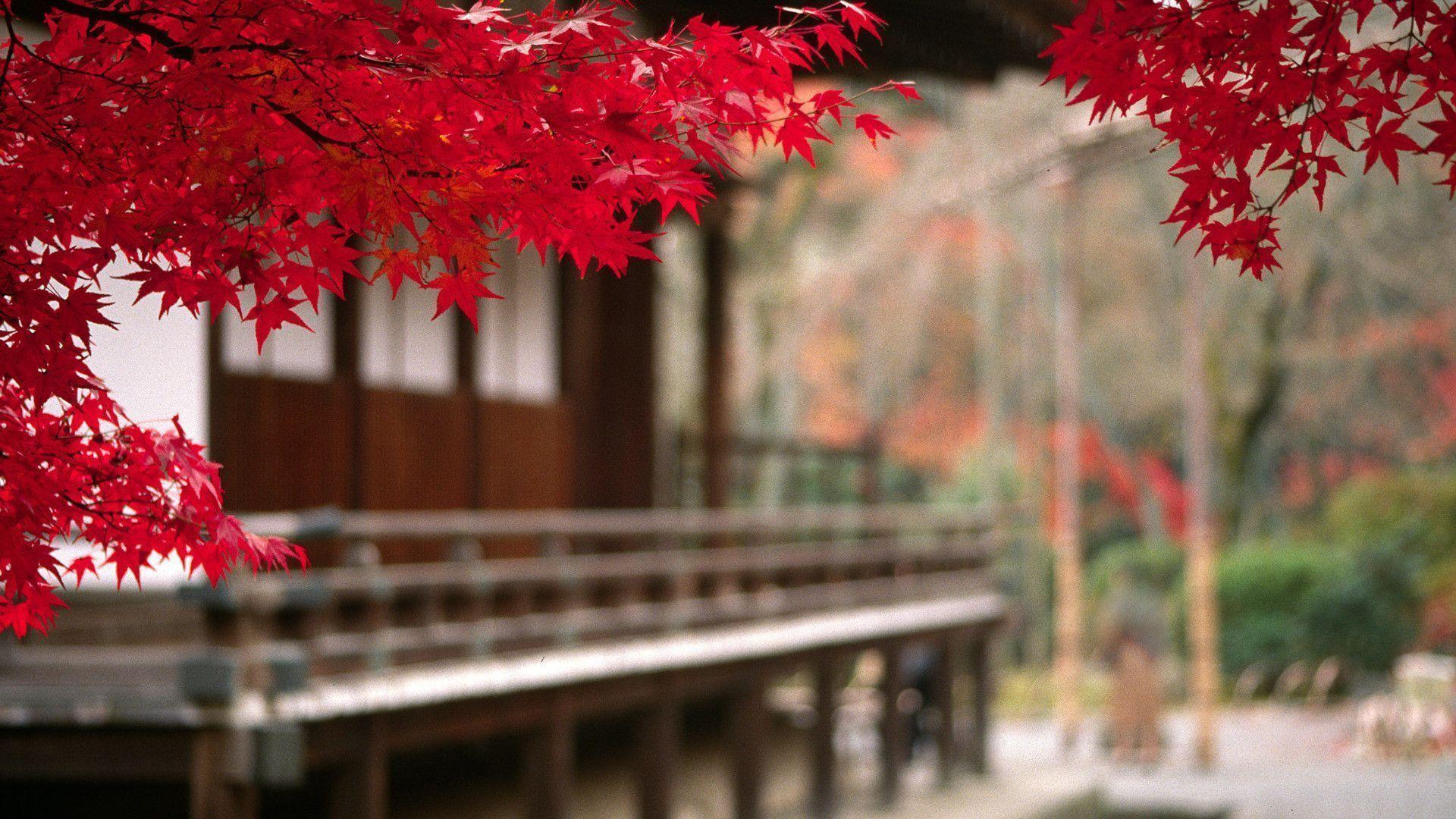 1920x1080 Oriental Wallpaper