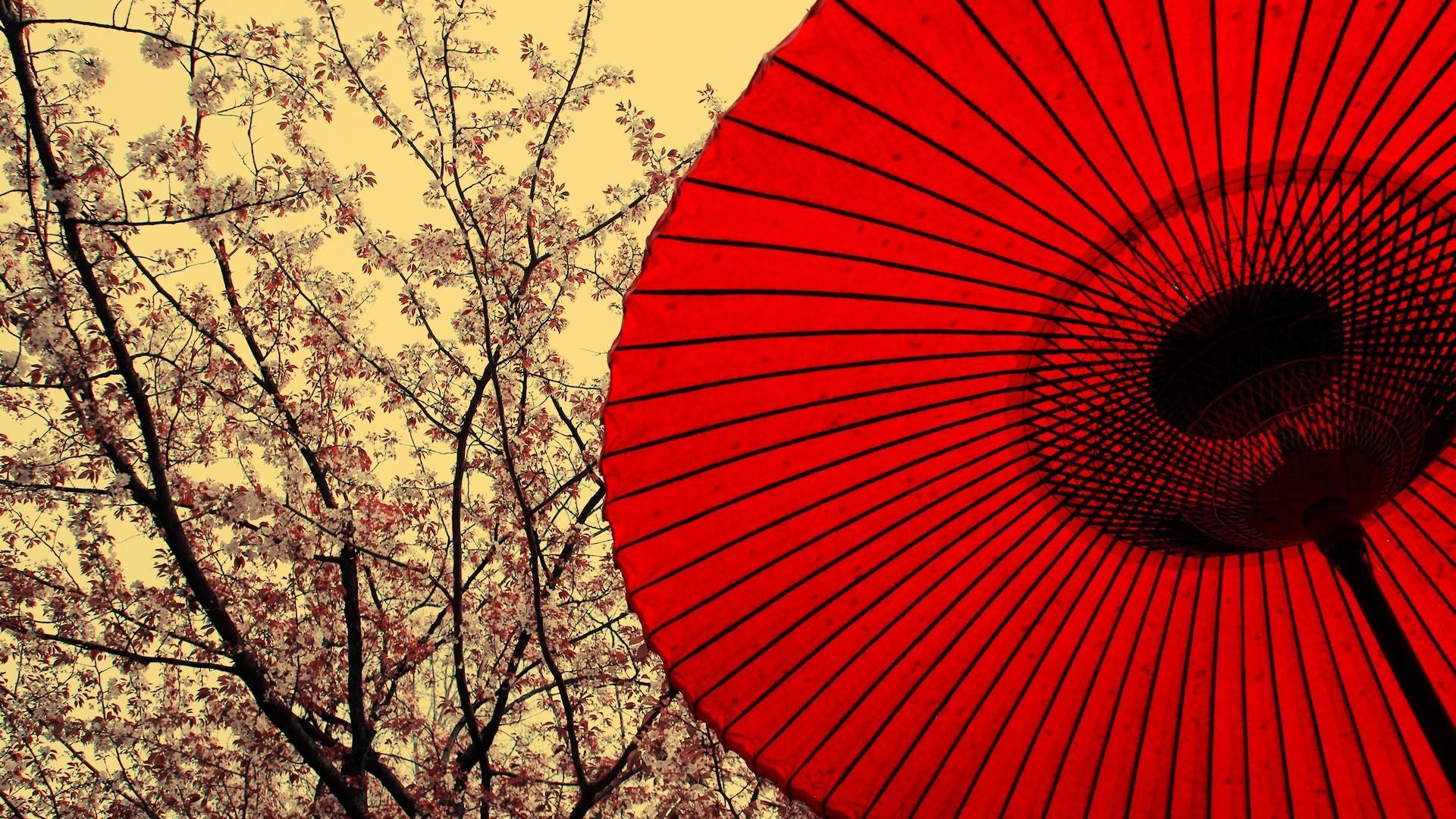 1920x1080 Cherry blossoms oriental umbrellas tree parasol wallpaper
