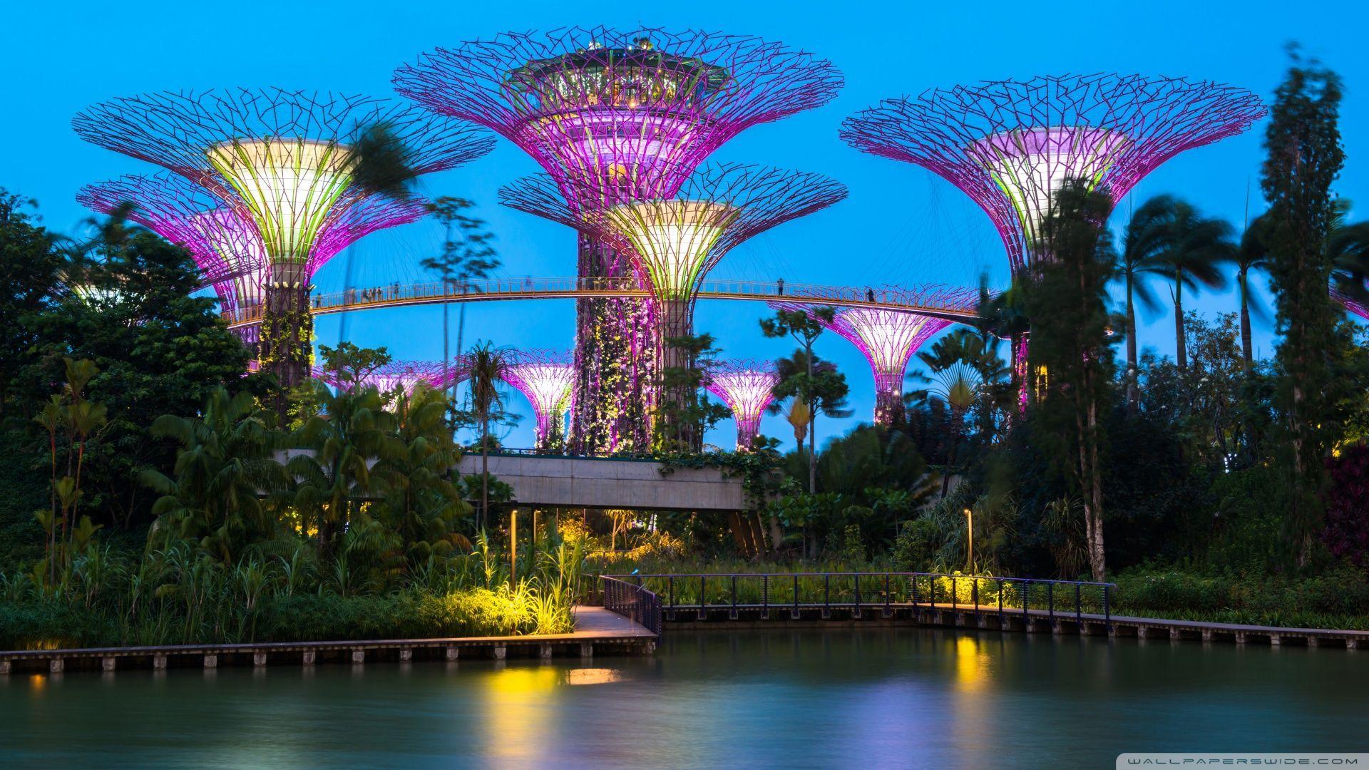 1920x1080 Supertree grove gardens by the bay singapore HD wallpaper [1920x1080]. Singapore garden, Gardens by the bay, Tower garden