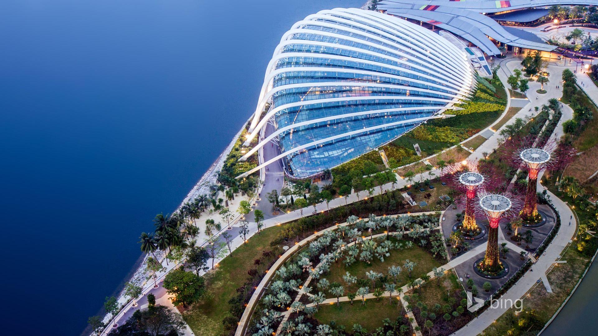 1920x1080 Free download Singapore City Wallpaper HD Wallpaper [1920x1200] for your Desktop, Mobile & Tablet. Explore Wallpaper for Walls Singapore. Cheap Wallpaper, Wallpaper for Walls Kitchen, Birch Wallpaper for Walls