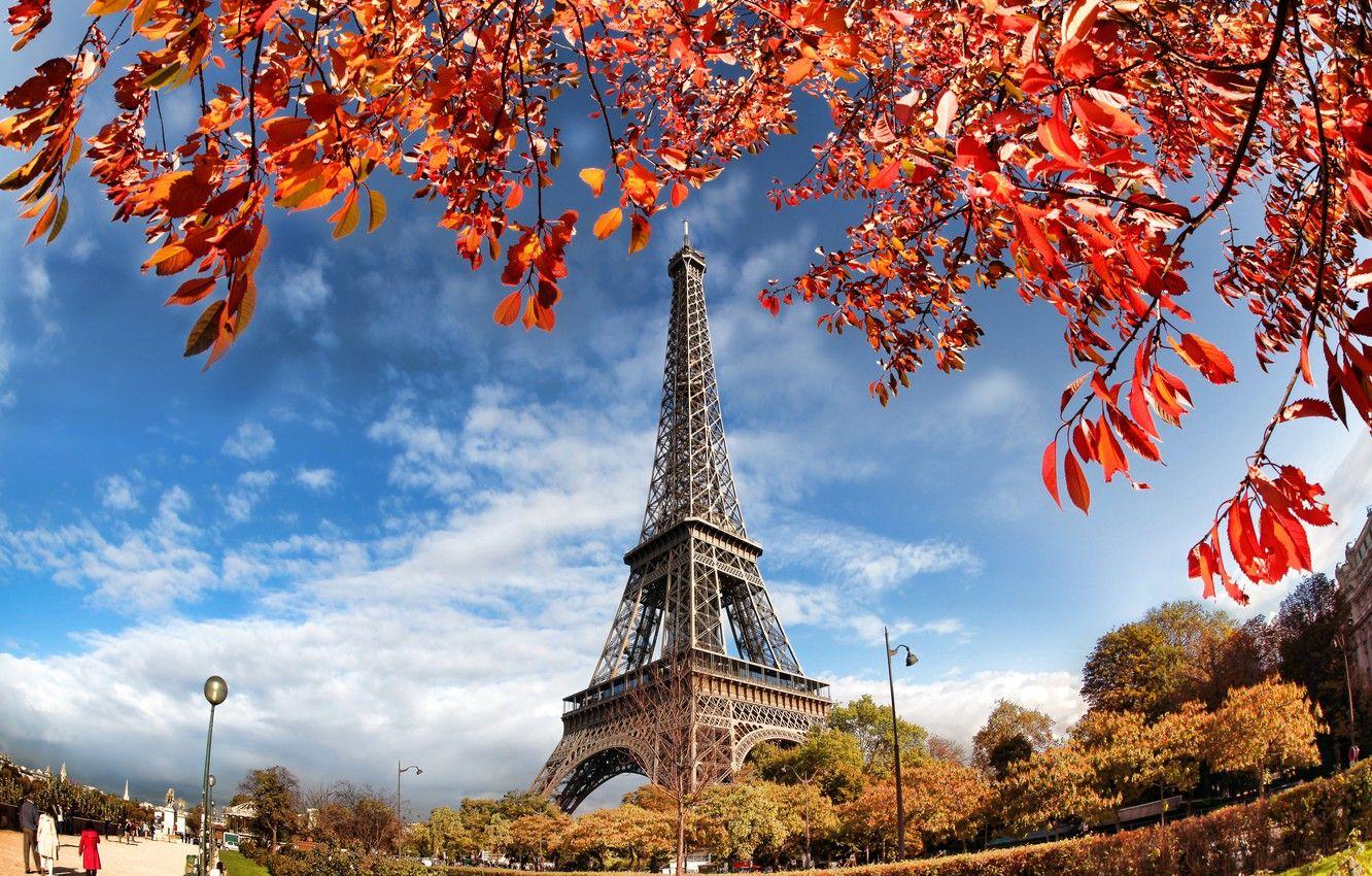 Eiffel Tower in Paris Wallpaper Stock Photo  Image of background prints  152657680