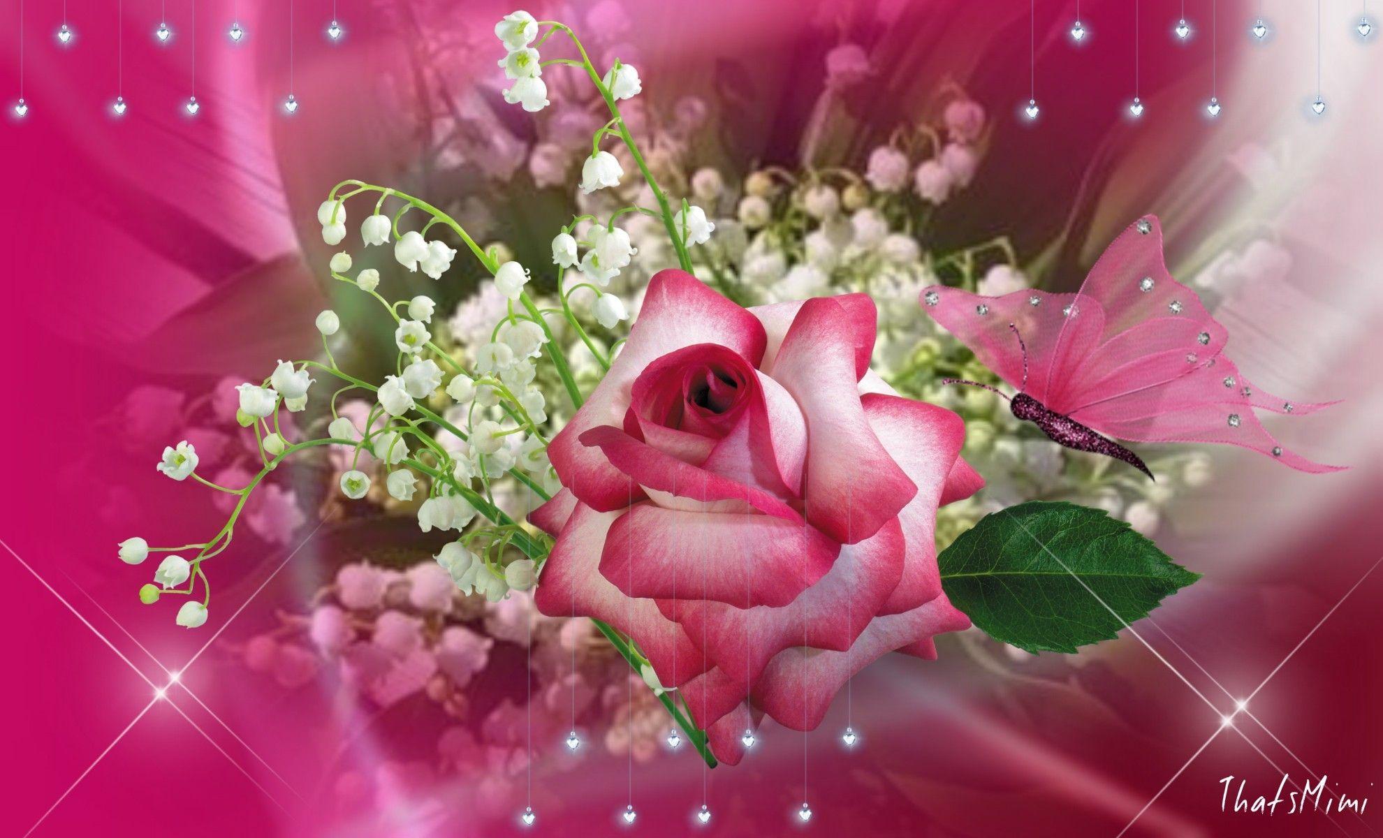 1980x1200 Beautiful Butterflies and Flowers