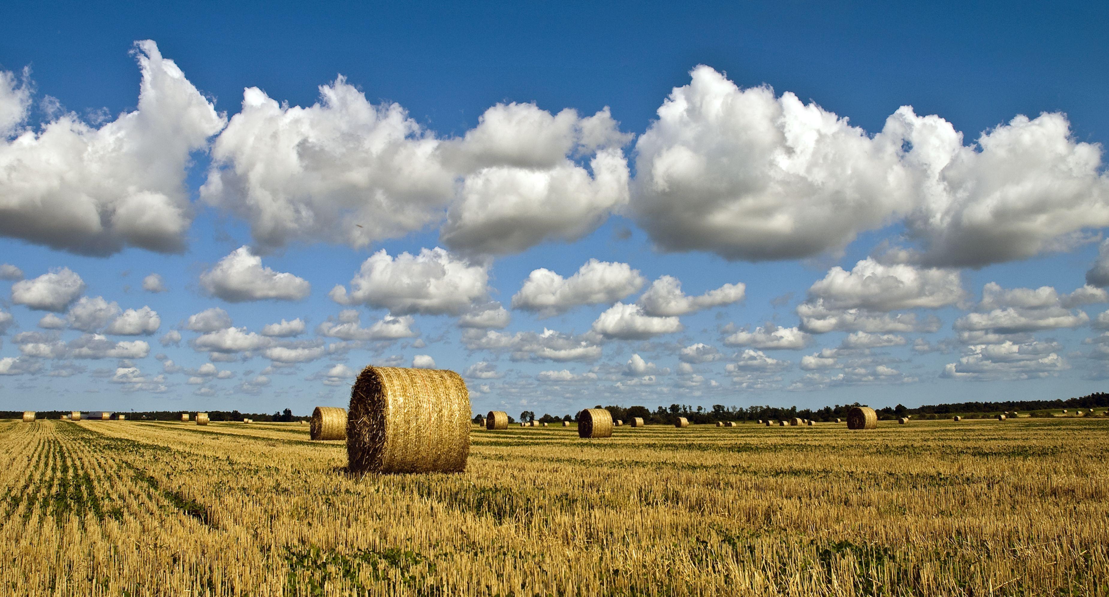 3700x1992 sweden, Agricultural land, Countries of the world