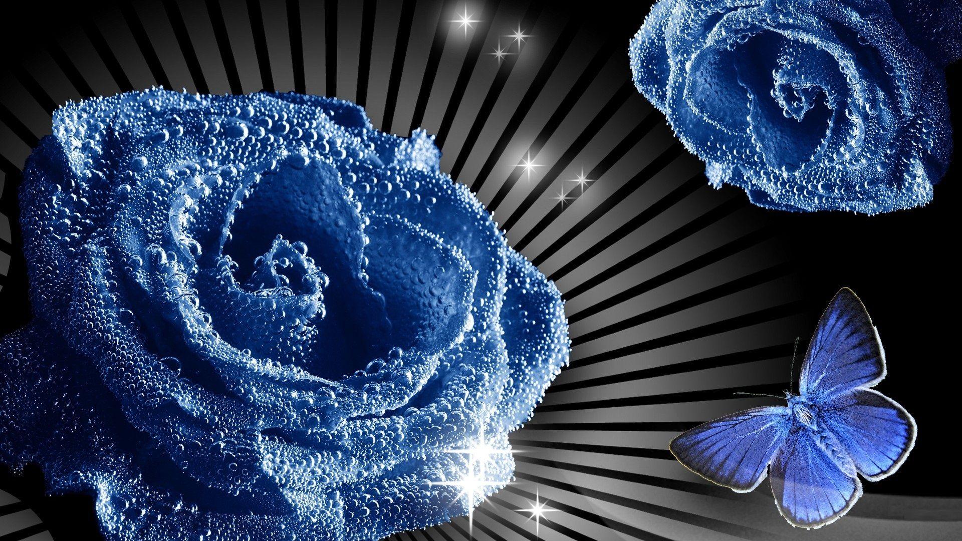 1920x1080 Blue Butterfly Wallpaper HD