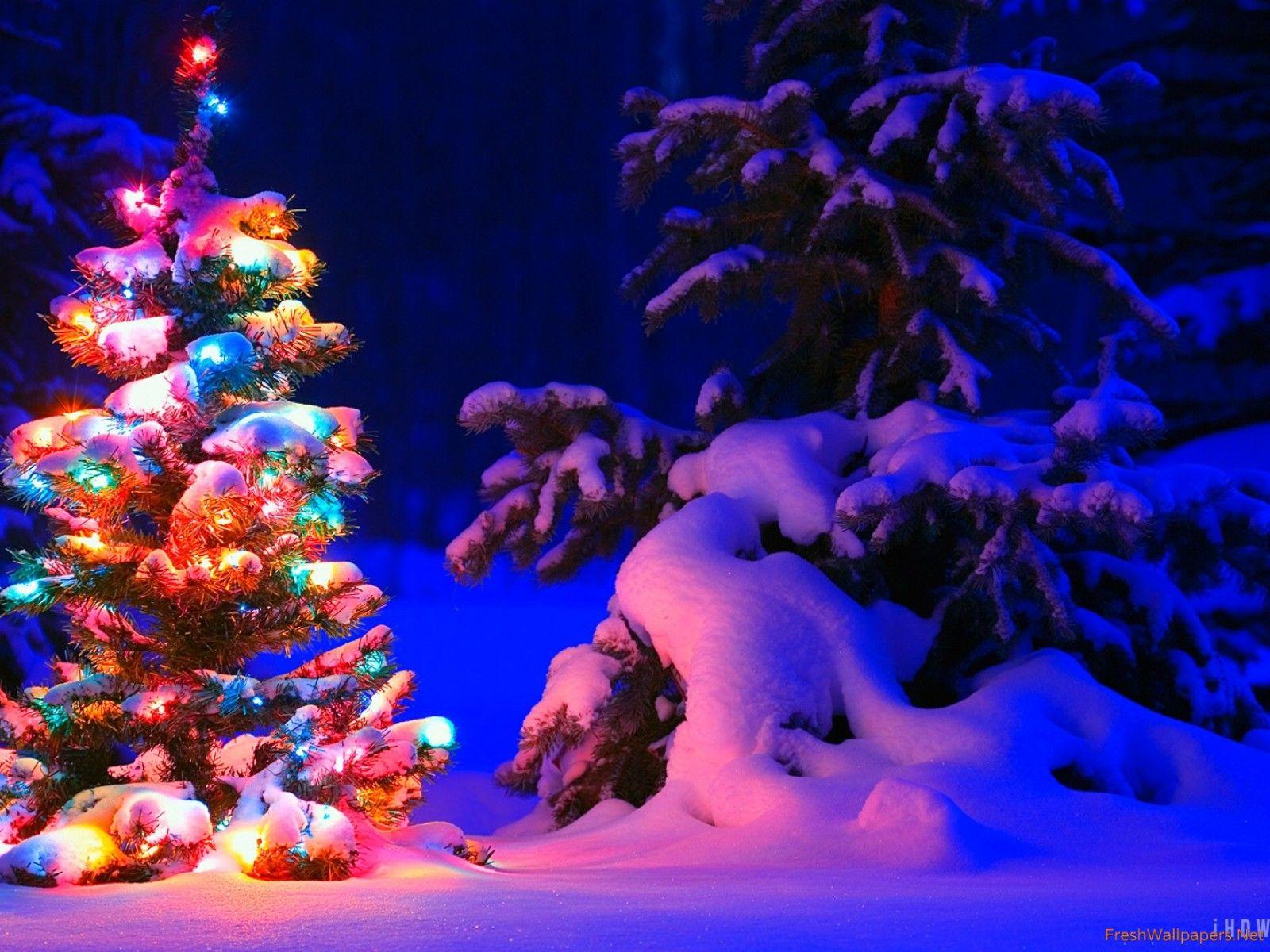 Christmas Farm Wallpapers - Top Free Christmas Farm Backgrounds