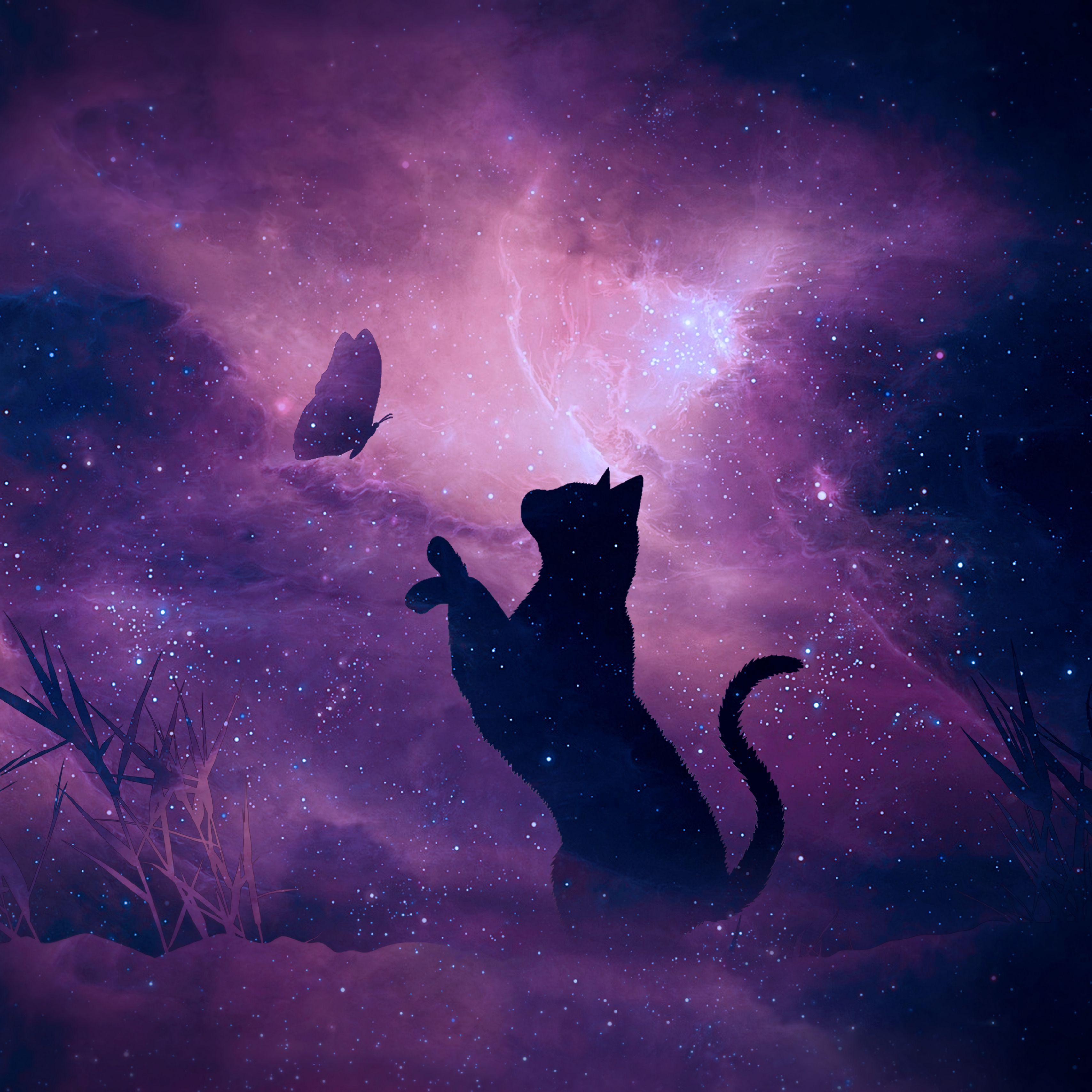 3415x3415 Download wallpaper 3415x3415 cat, silhouette, butterfly, starry sky, galaxy, stars, shine ipad pro 12.9 retina for parallax HD background