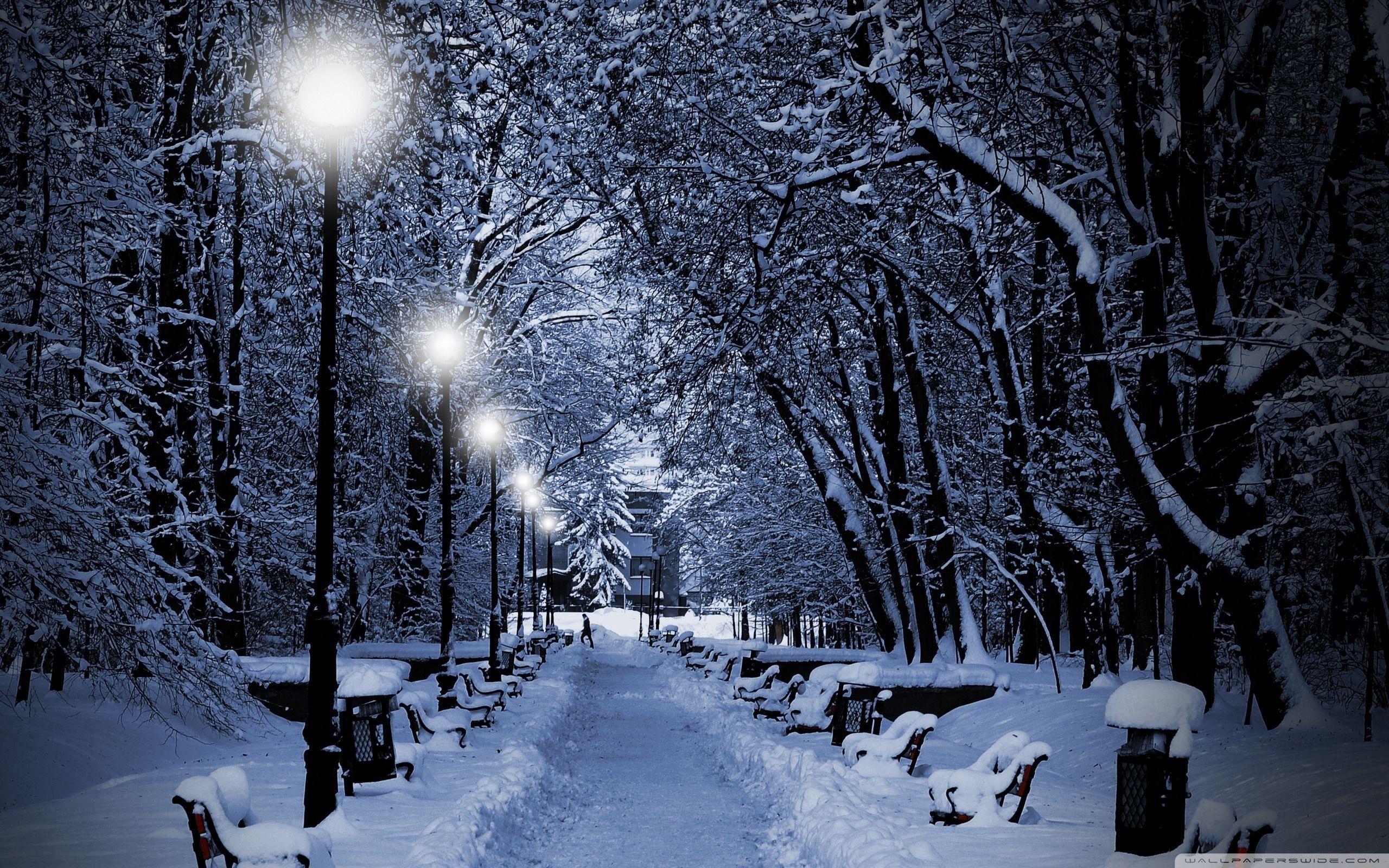 2560x1600 Snowy park at night MacBook Air Wallpaper Download