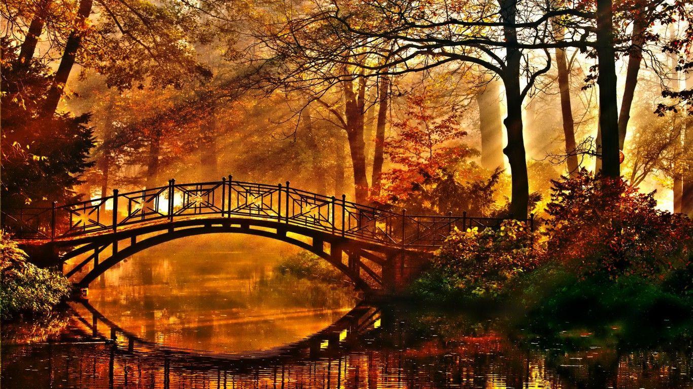1366x768 Autumn Memories Wallpaper