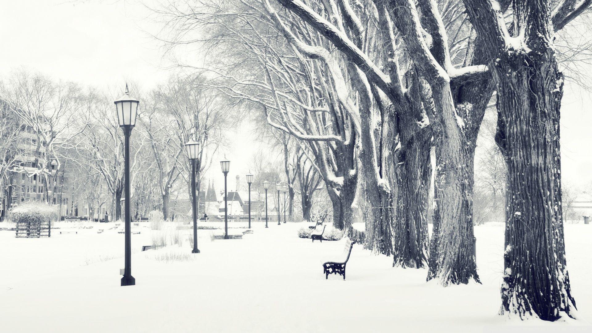 1920x1080 Snowy Park Ultra HD Desktop Background Wallpaper for 4K UHD TV : Tablet