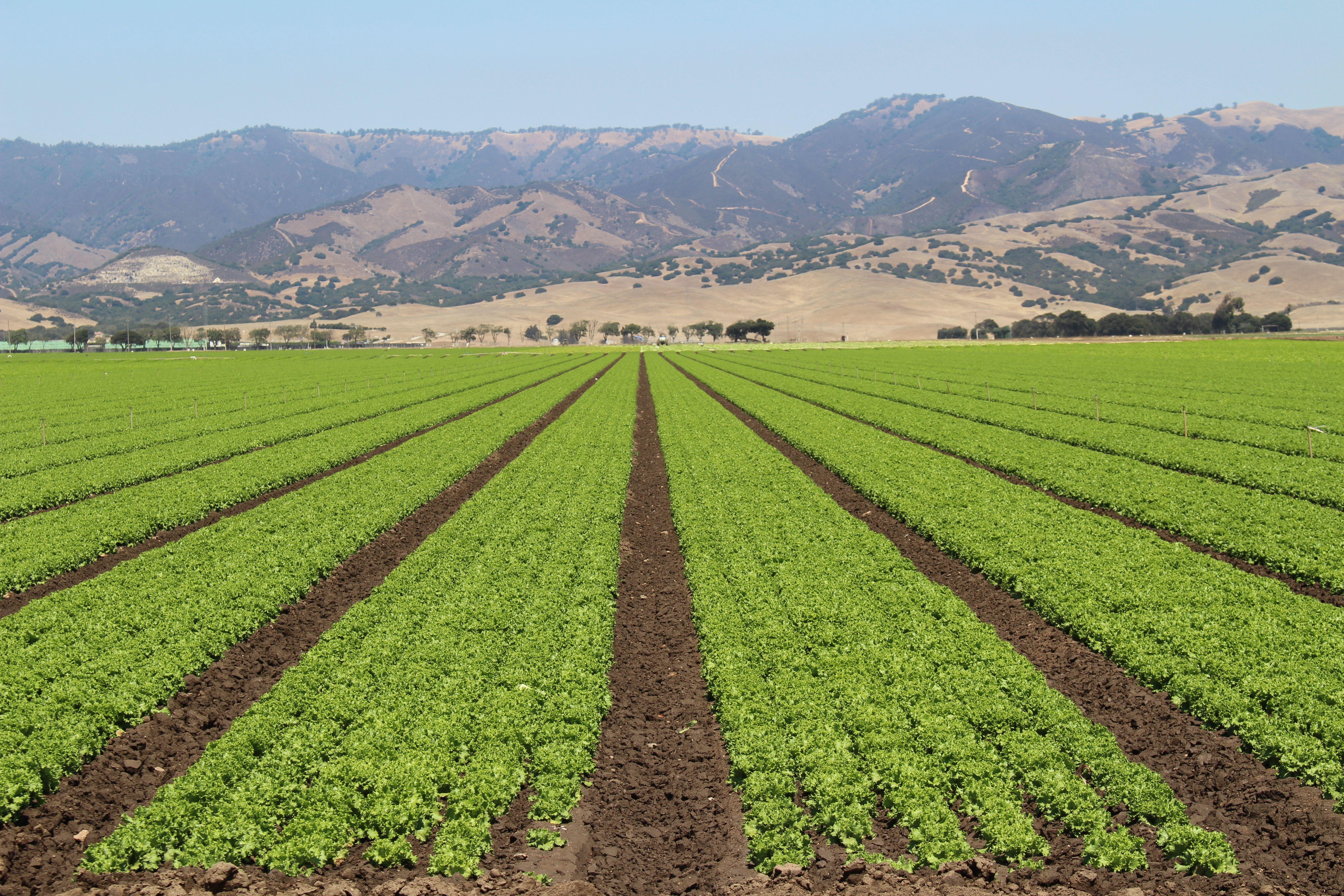 5184x3456 Farm wallpaper, Man Made, HQ Farm pictureK Wallpaper 2019